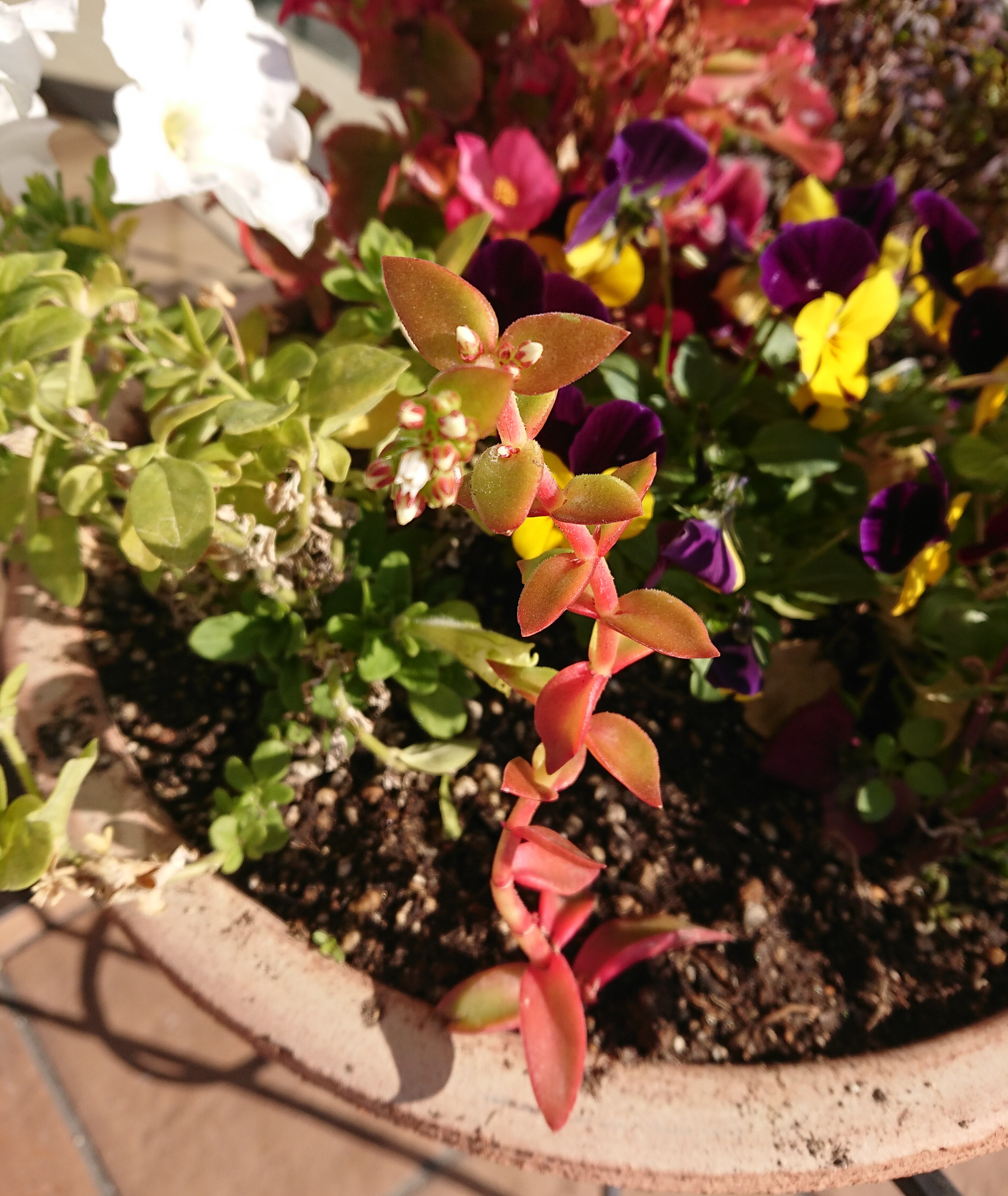 20-12-22-11-27-32-375_photo