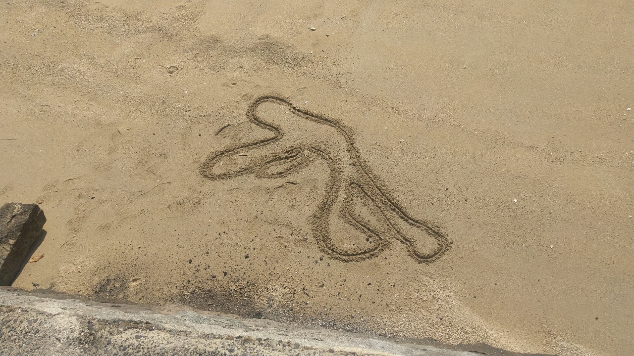 公式 中塚 骨 折ったってよ ｈｏｎｄａ ｃａｒｓ 松山西