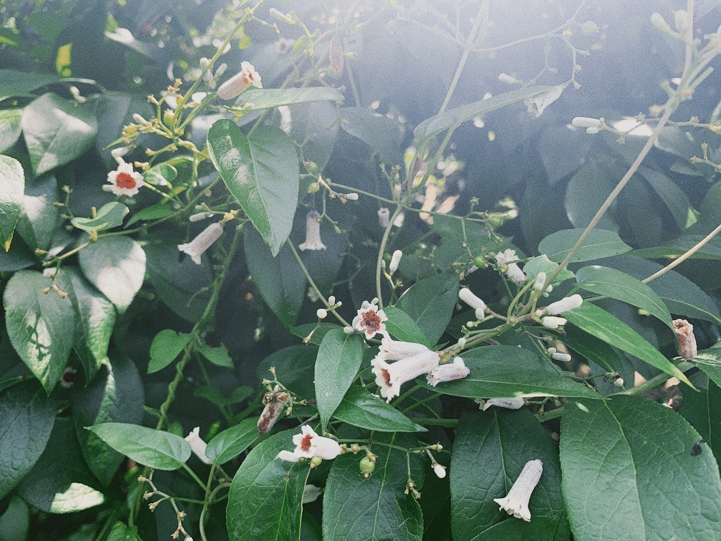 fsrpZ36JWh4pyQdaQnXd1626064192-1626064229