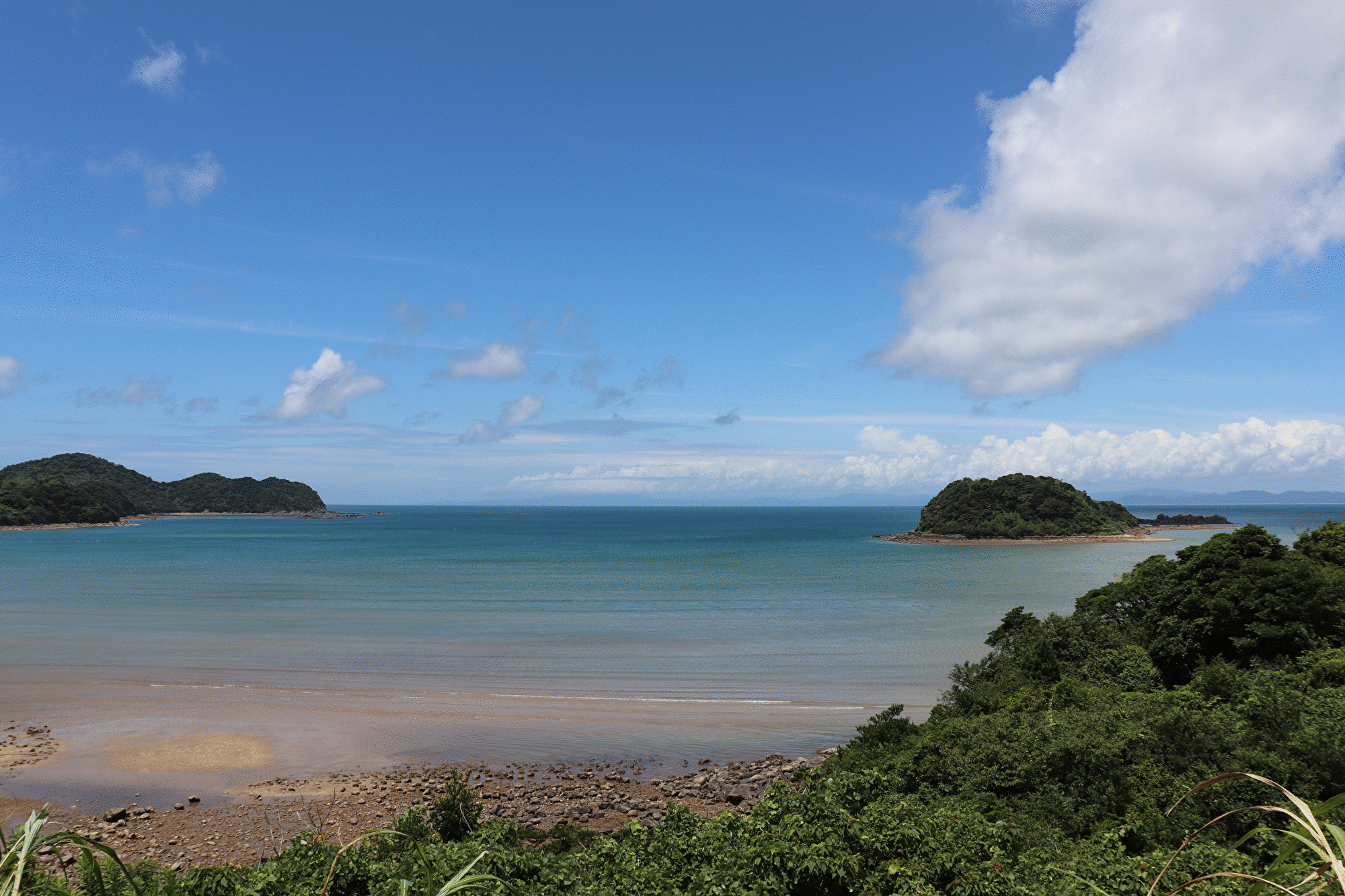 ZfJNZdplYYzX0kh2W2IM1626314627-1626315034