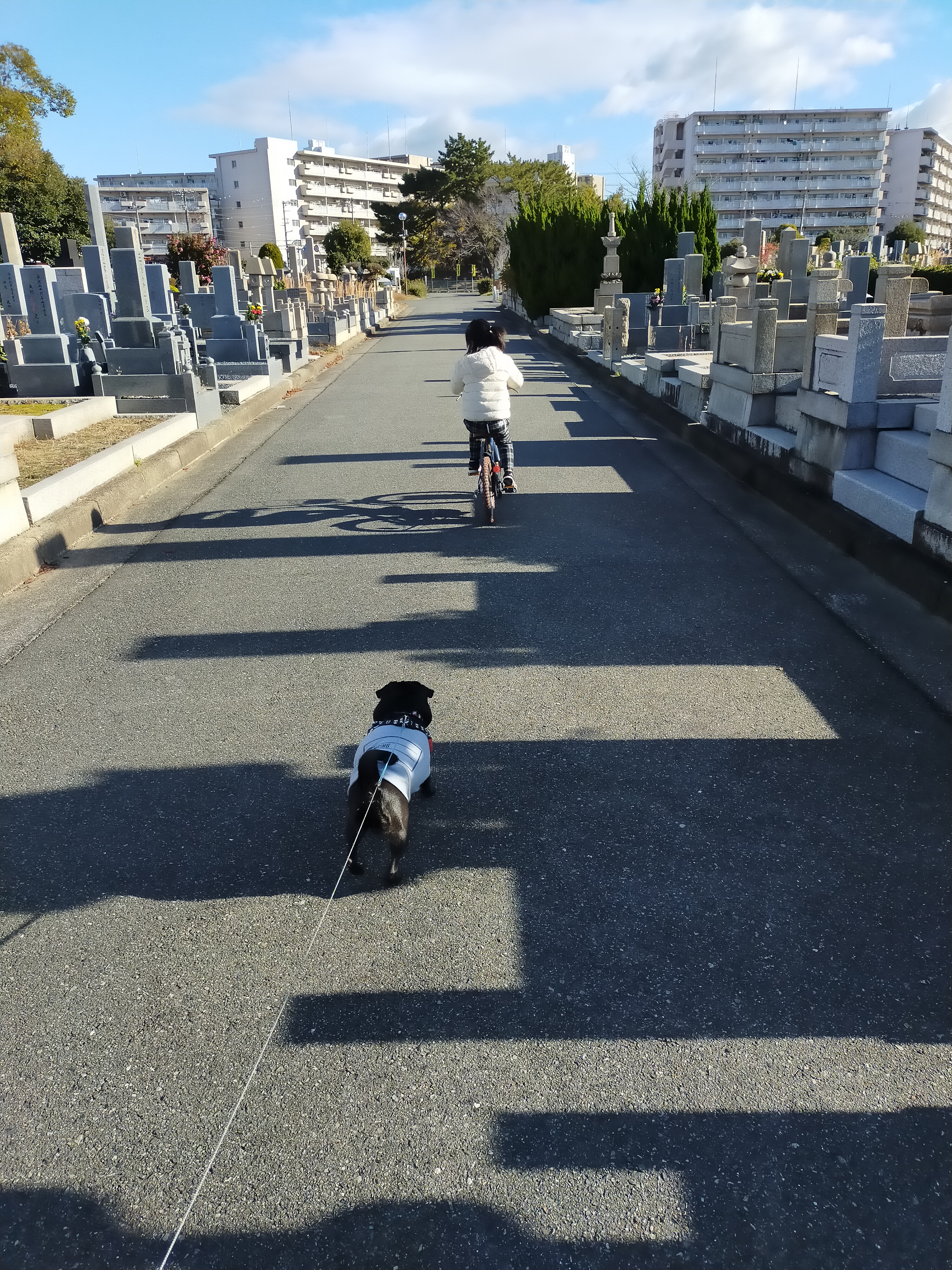 aaaIMG20211218094321