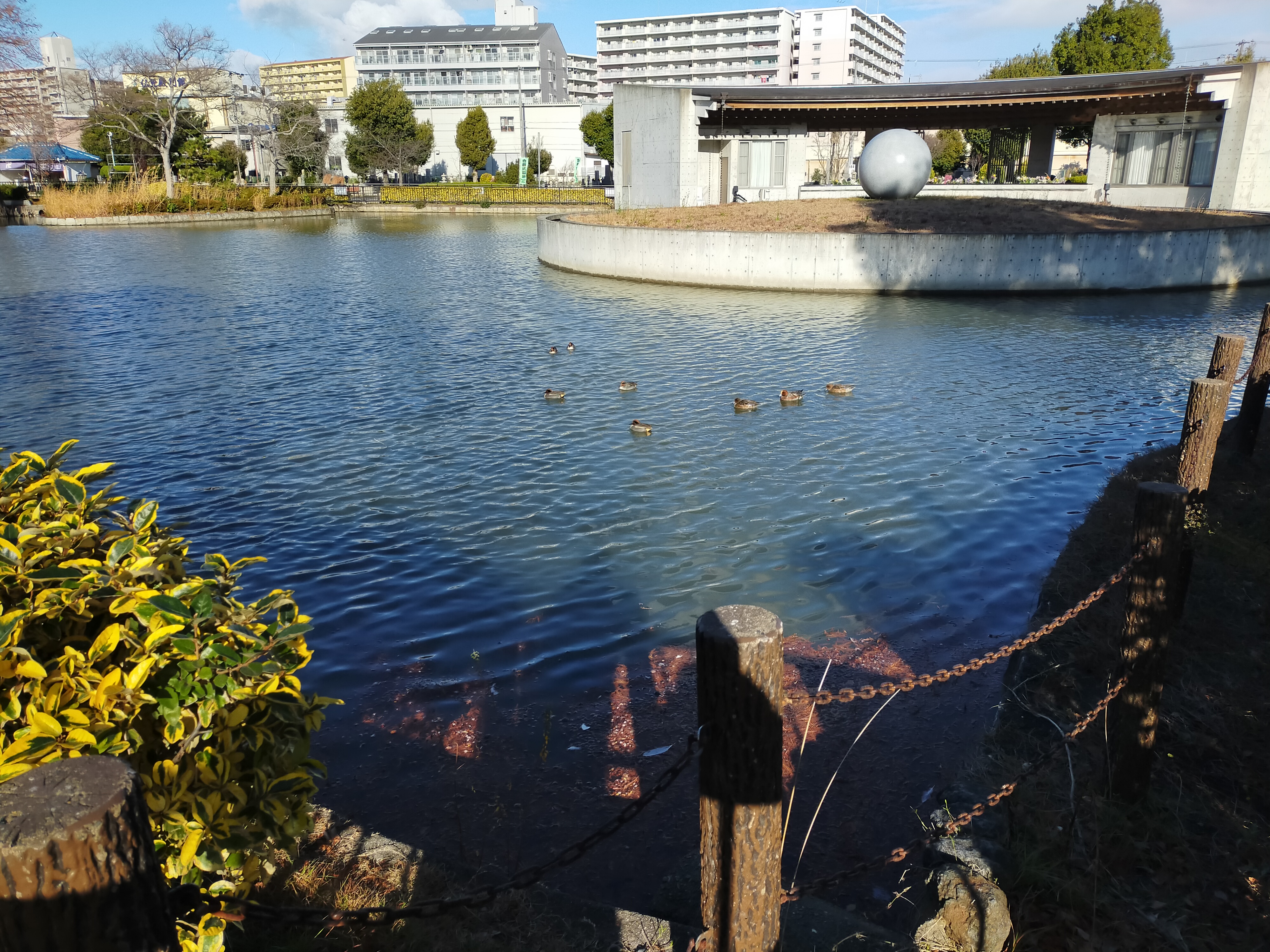 aaaIMG20211218094014