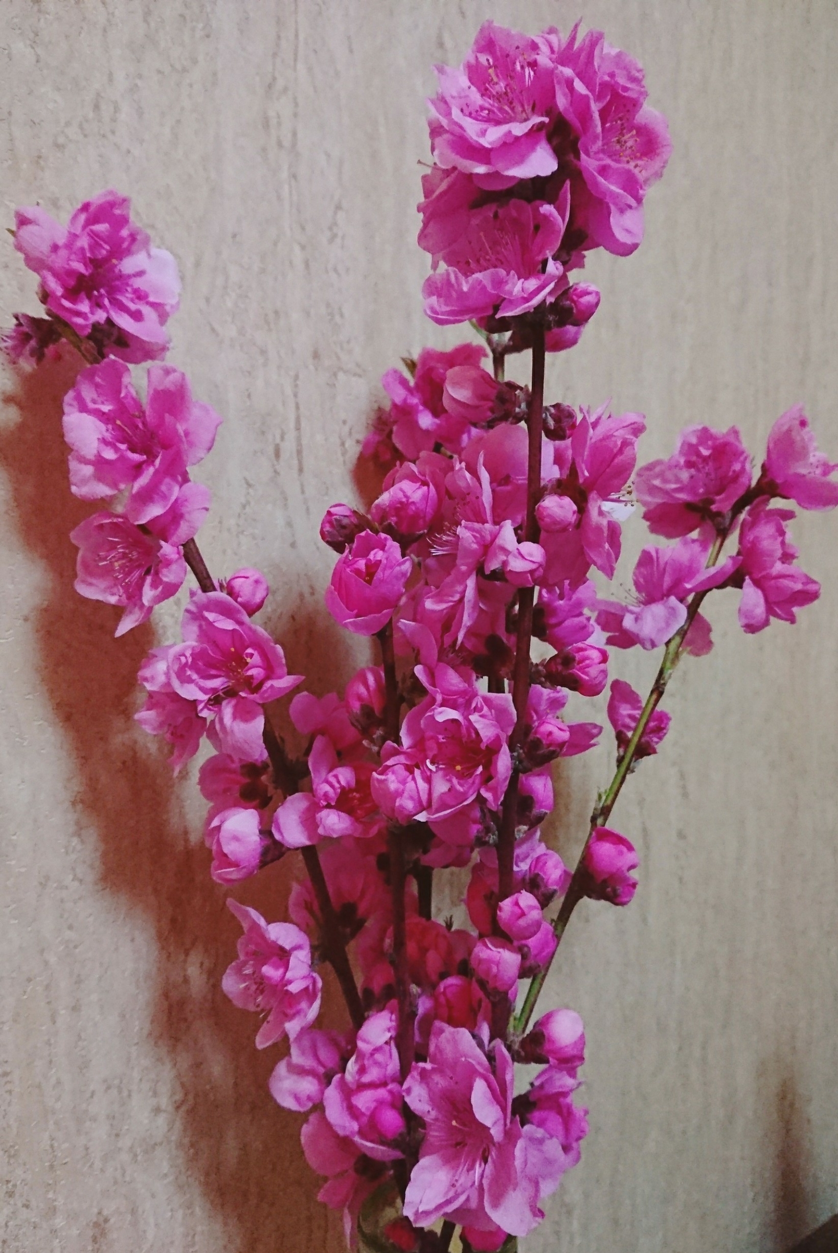 22-04-10-14-36-27-082_deco