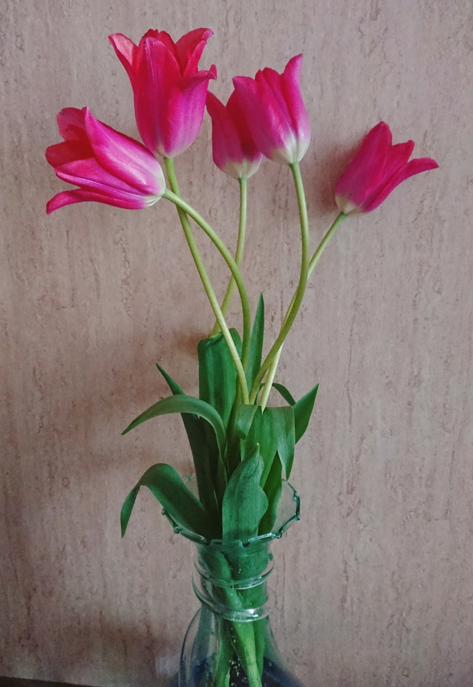 22-04-10-14-46-10-296_deco