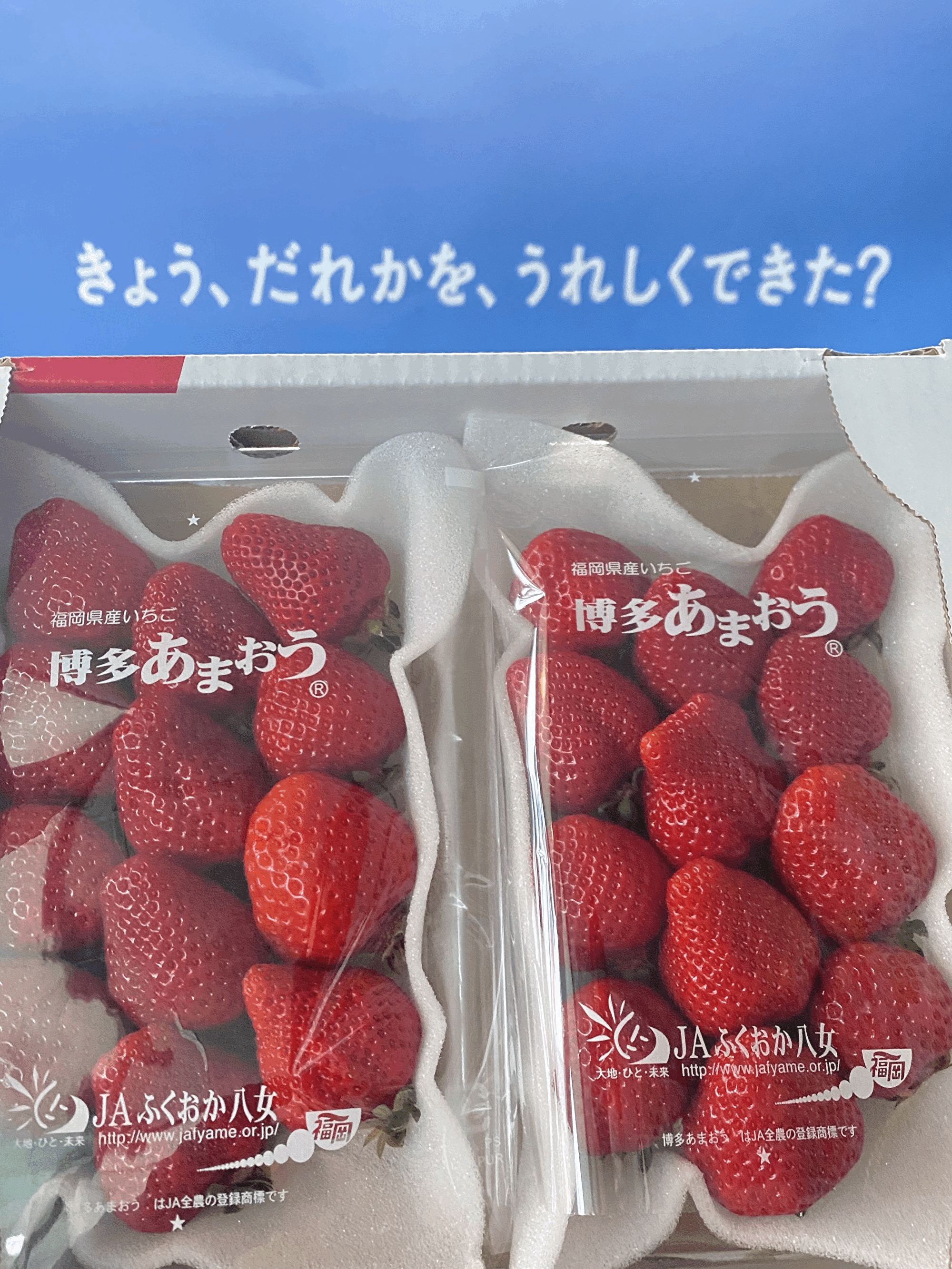 XWvKhNl1d2yIoSqNHTbB1650098288-1650098353