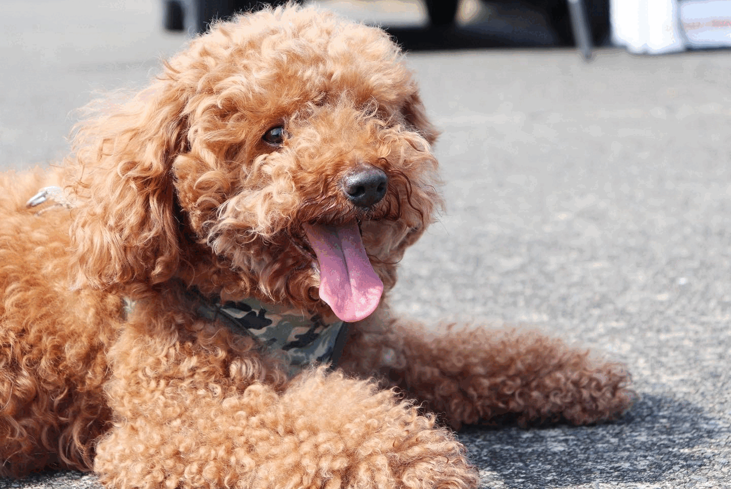 qaQvHJ6dPzqhngoFSsqP1650595807-1650595808