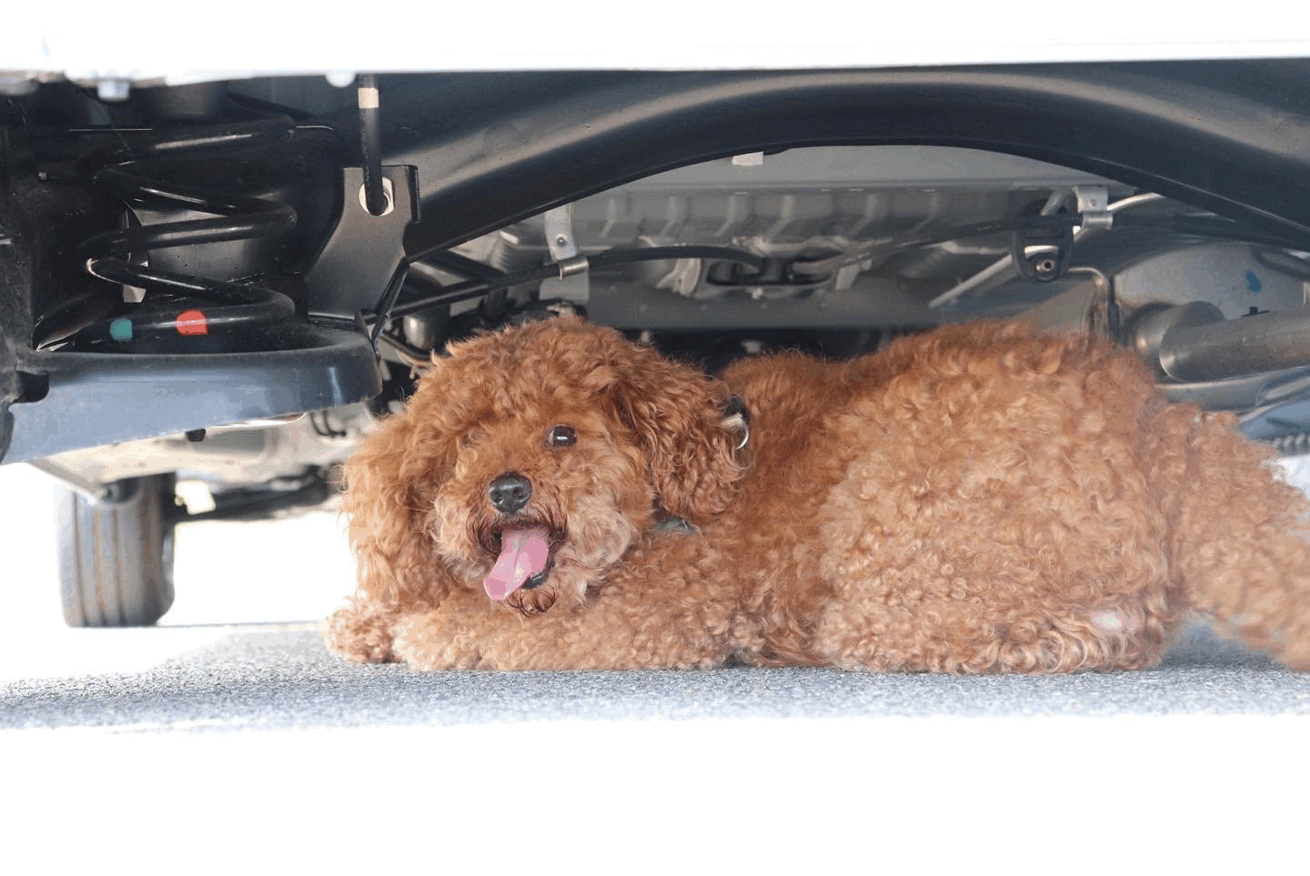 qaQvHJ6dPzqhngoFSsqP1650595807-1650595838