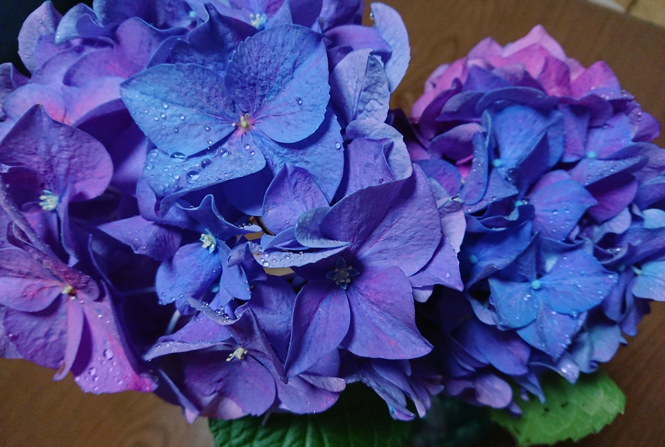 22-06-12-20-38-47-246_deco