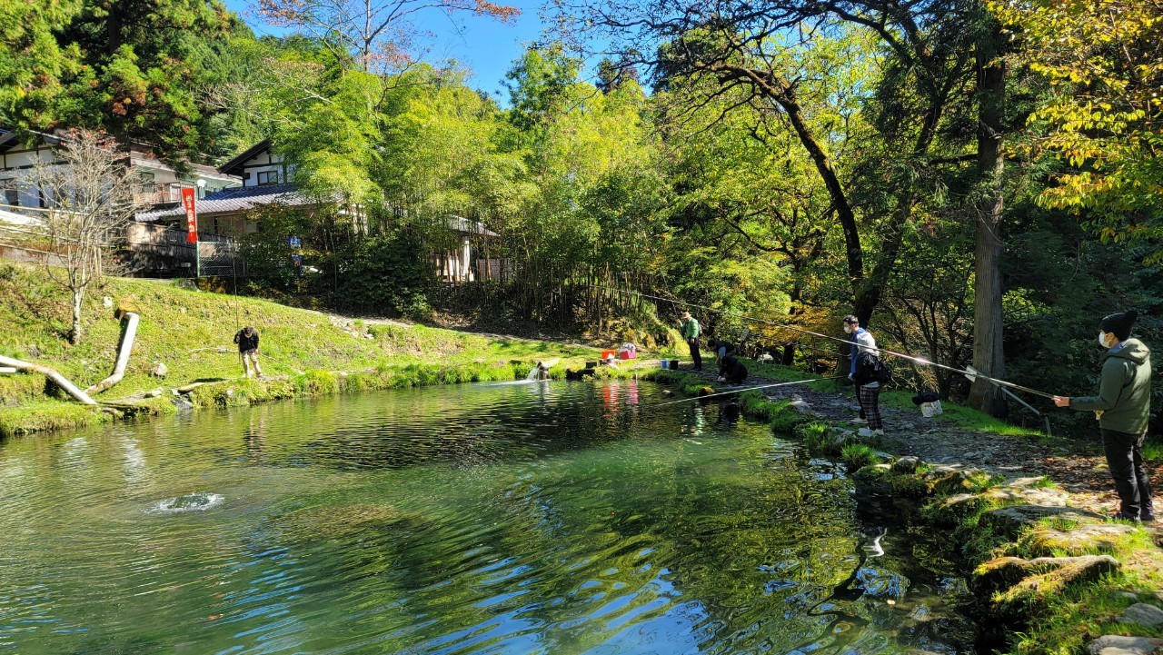 turiyokoline_783318104690377 (002)