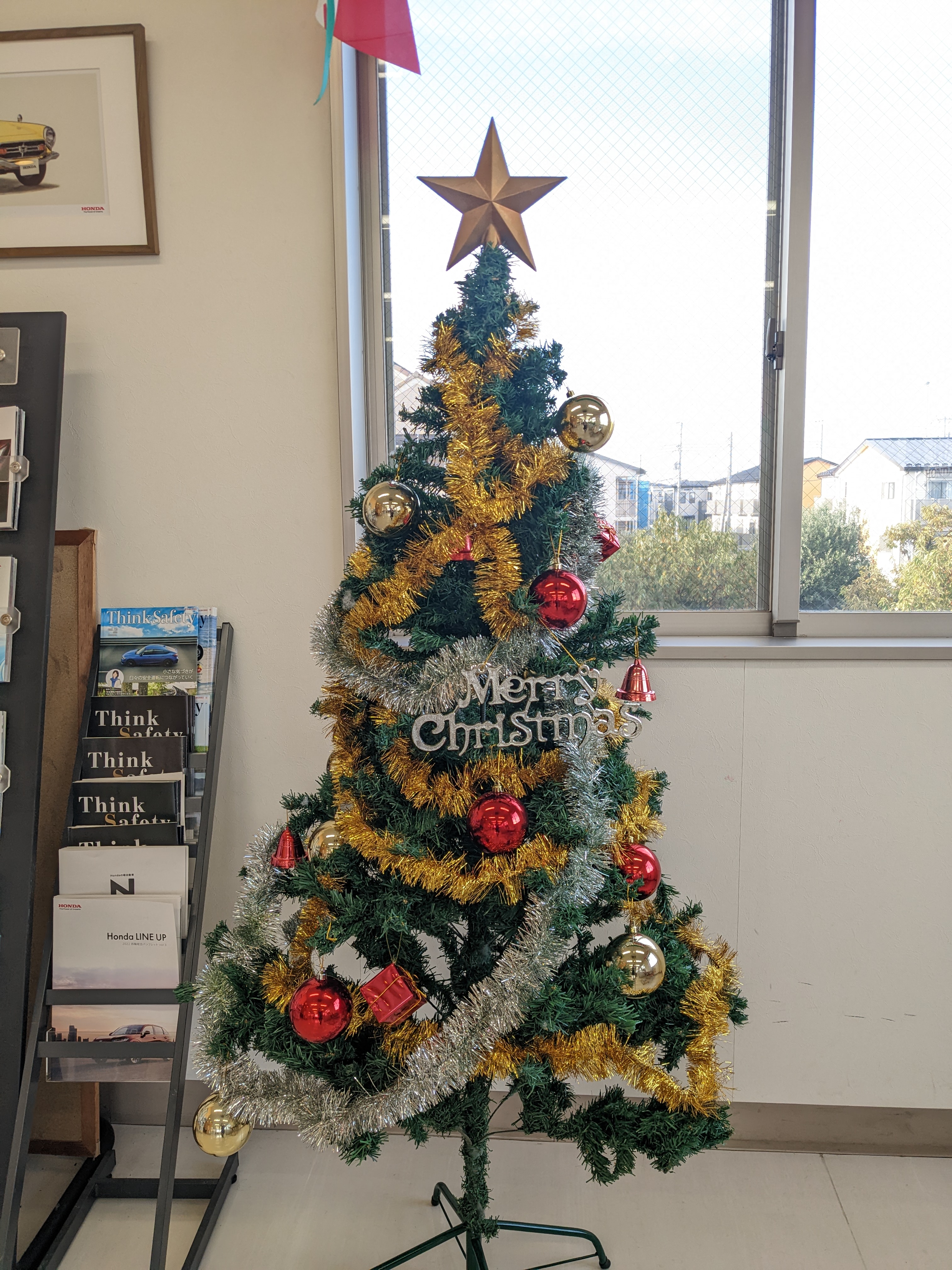 PXL_20221203_052337875