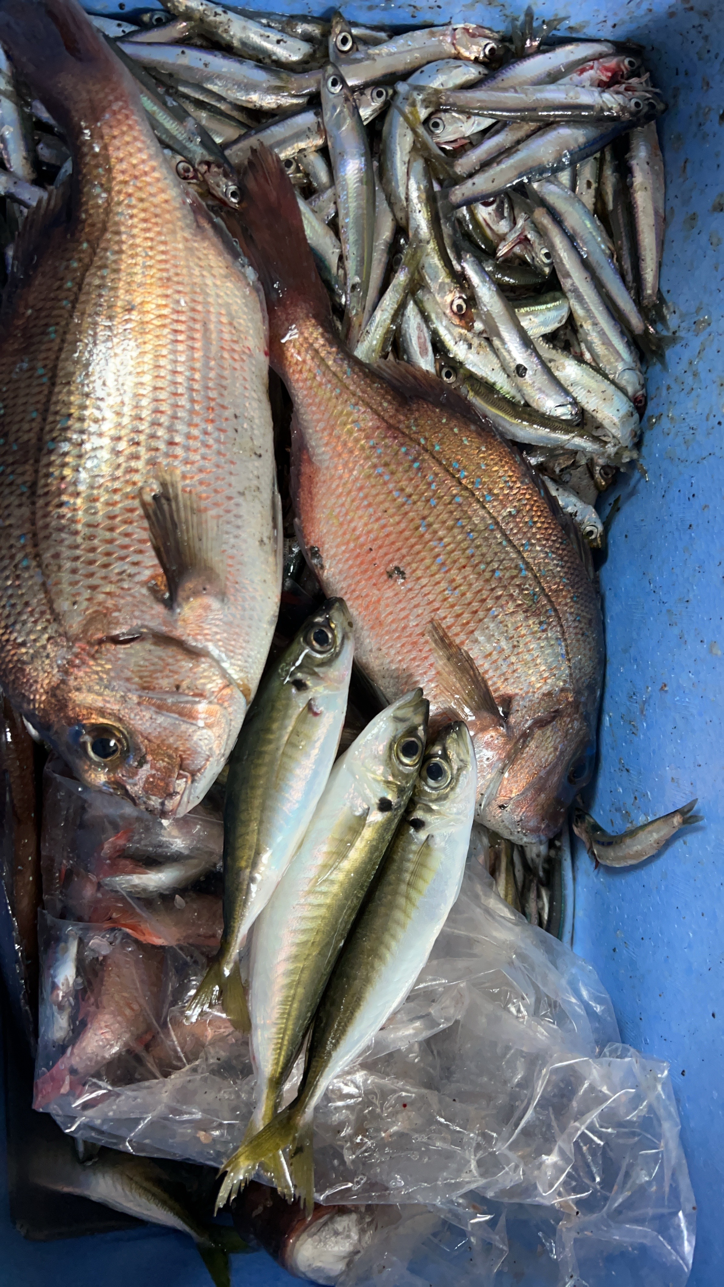 0000000000000000000000000000000000000000000000000000000000000001