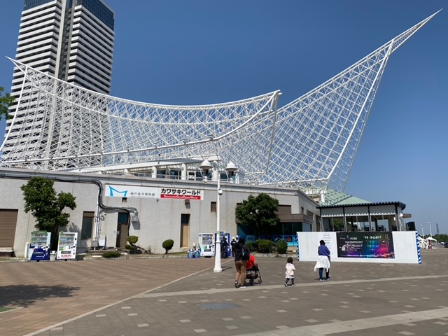 4884245101522753562.d39a5e0ce26c9823b5ffdcba82aa22fc.23051912