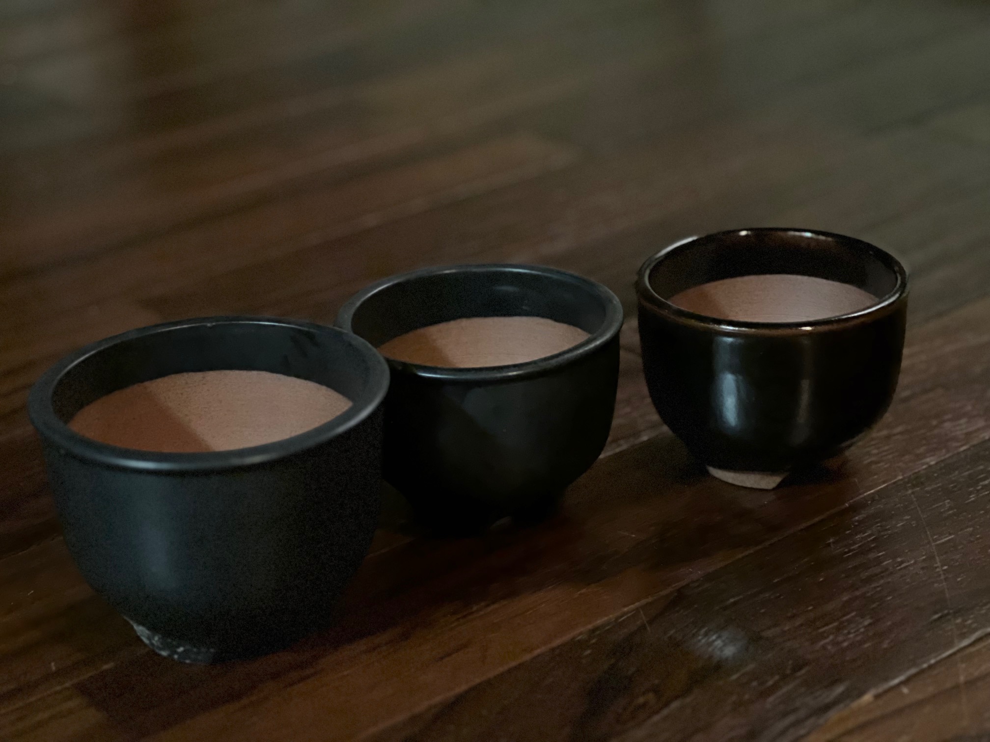 アガベ まとめ売り 伝市鉢 SRL neighborhood 伝市鉢 – DELTA PLANTS