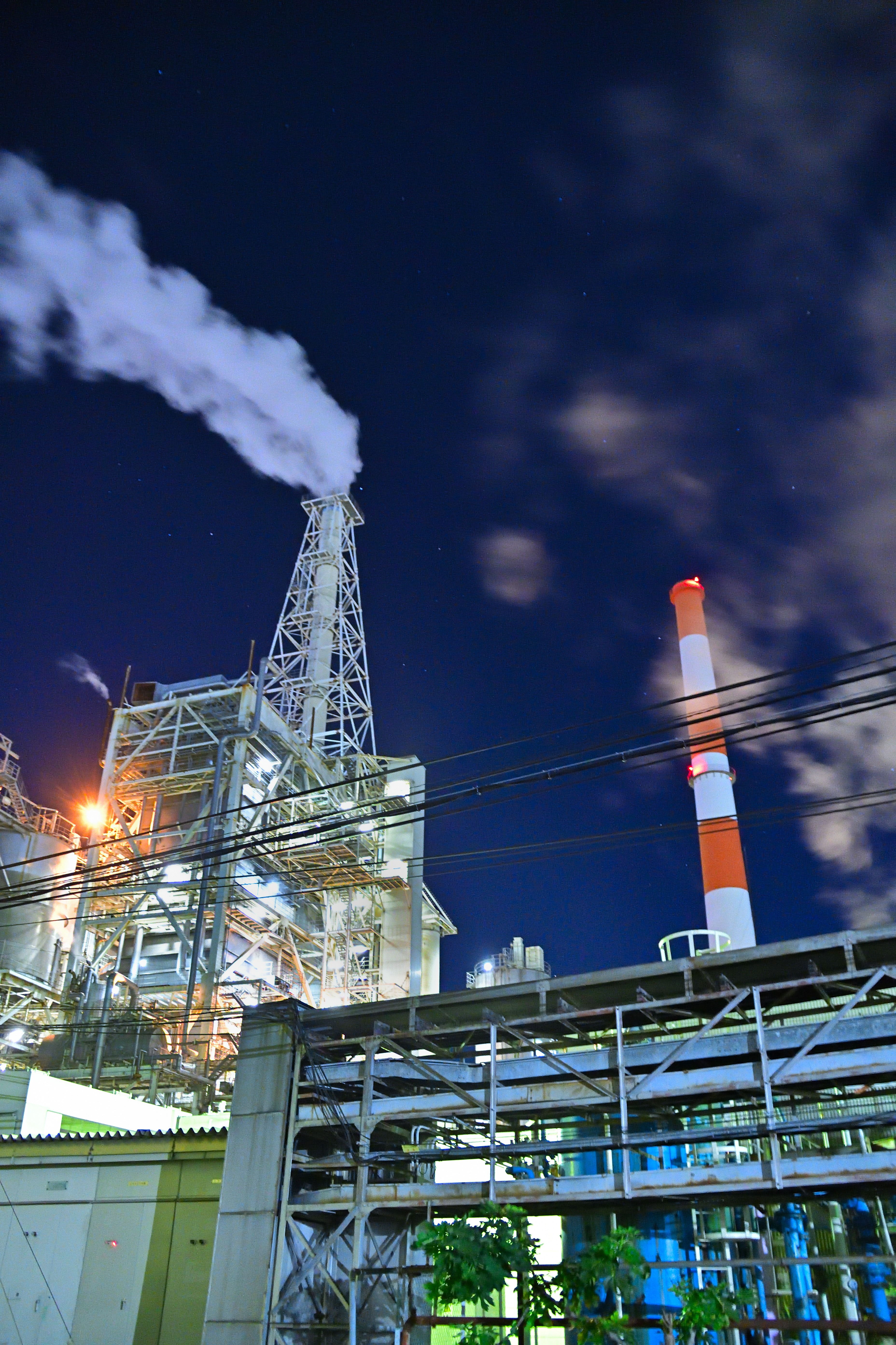 DSC_0502_027DSC_0502[1]