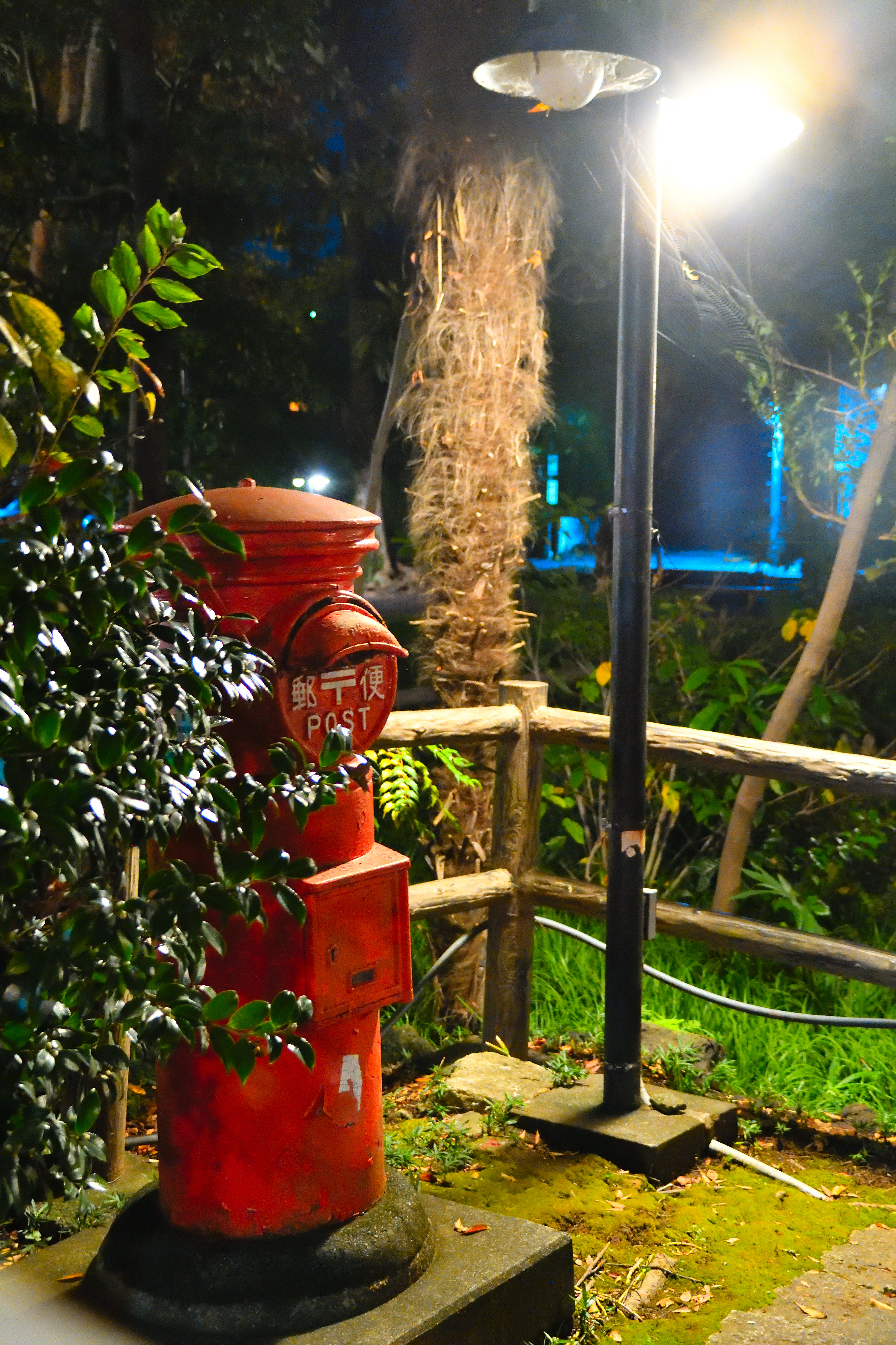 DSC_0883_029DSC_0883-1[1]