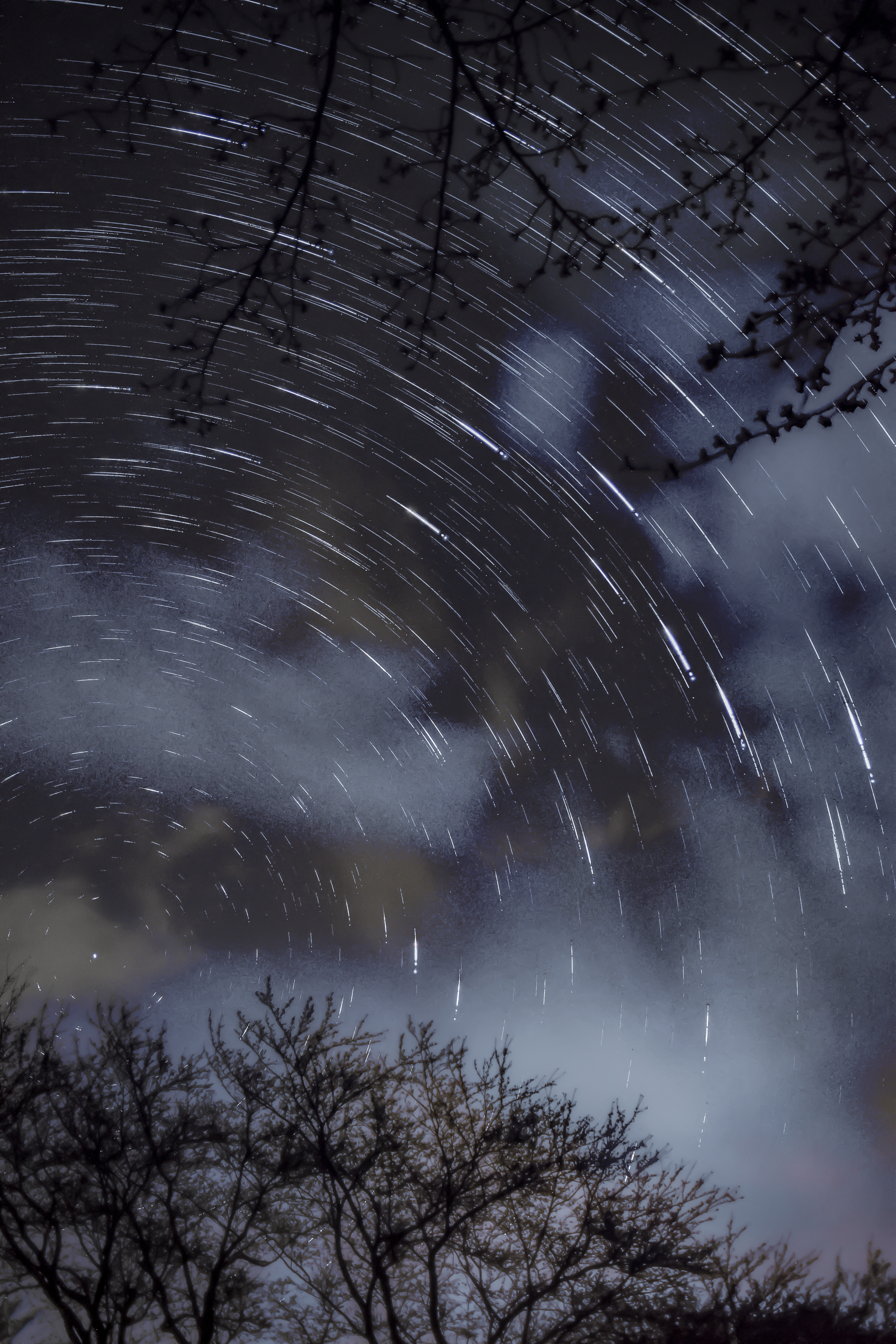 DSC_0019_55555_edited[1]