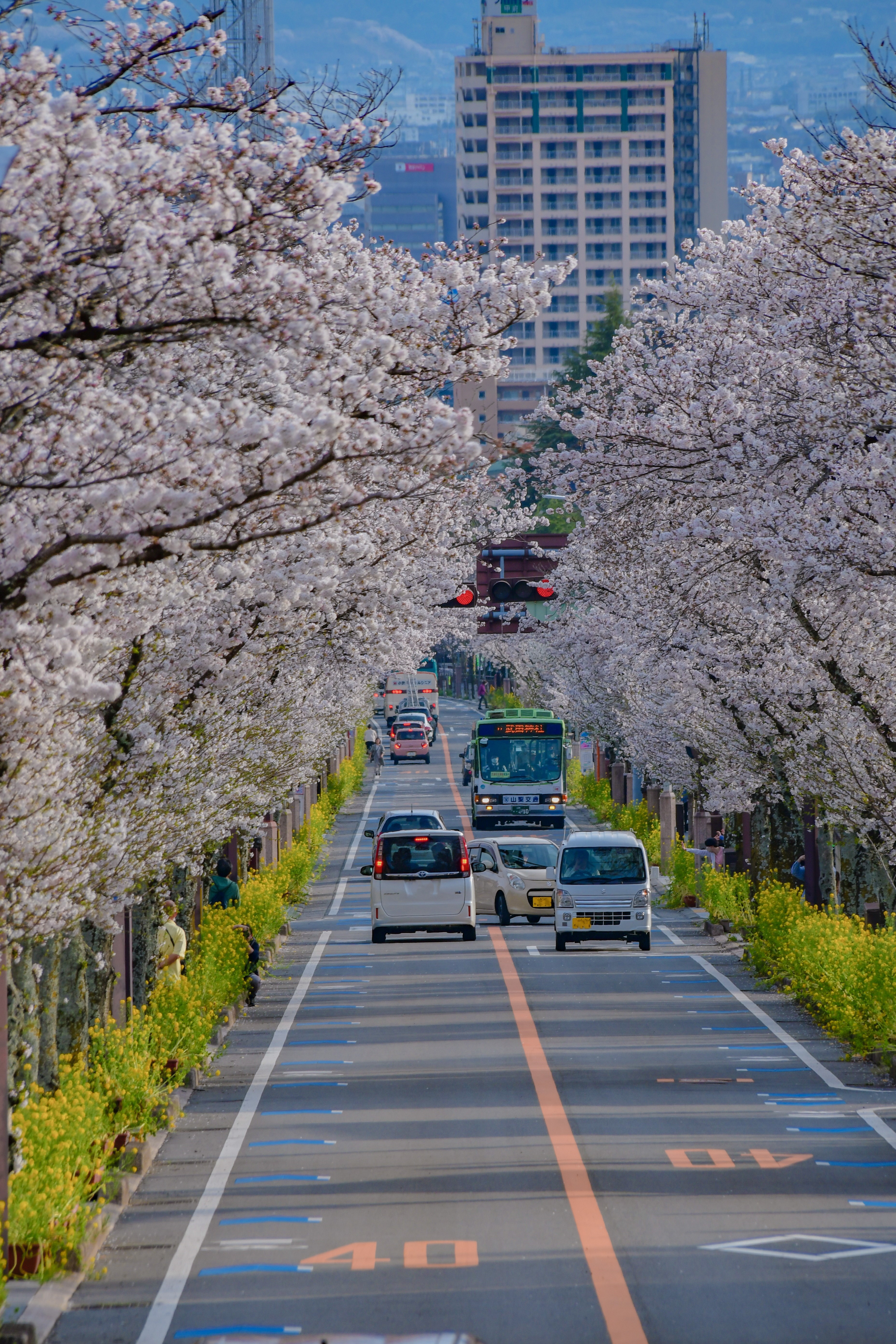 DSC_5800_edited222[1]