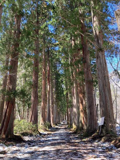 IMG_8271.jpeg026-20240418-3