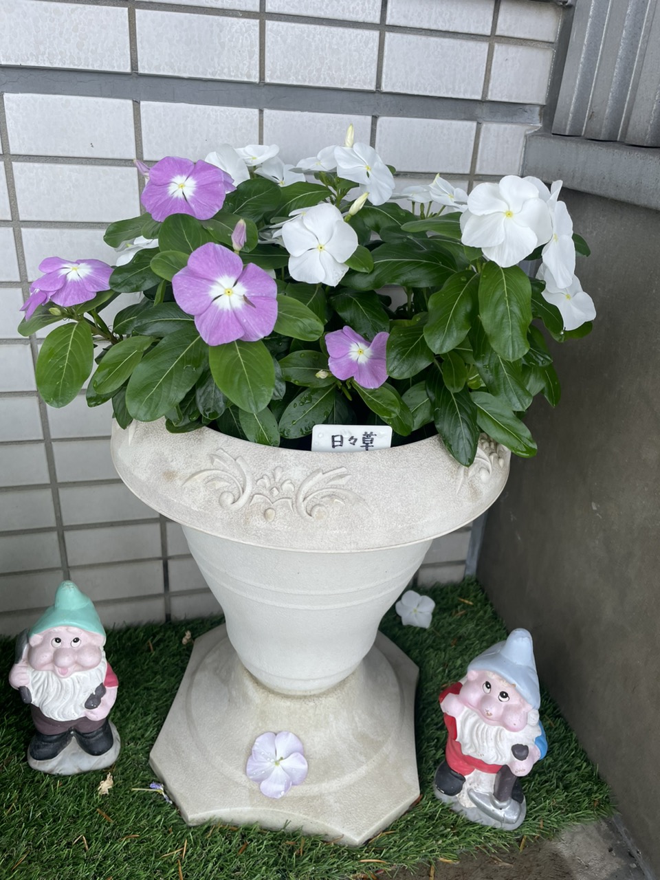 IMG_4199_1718951393507