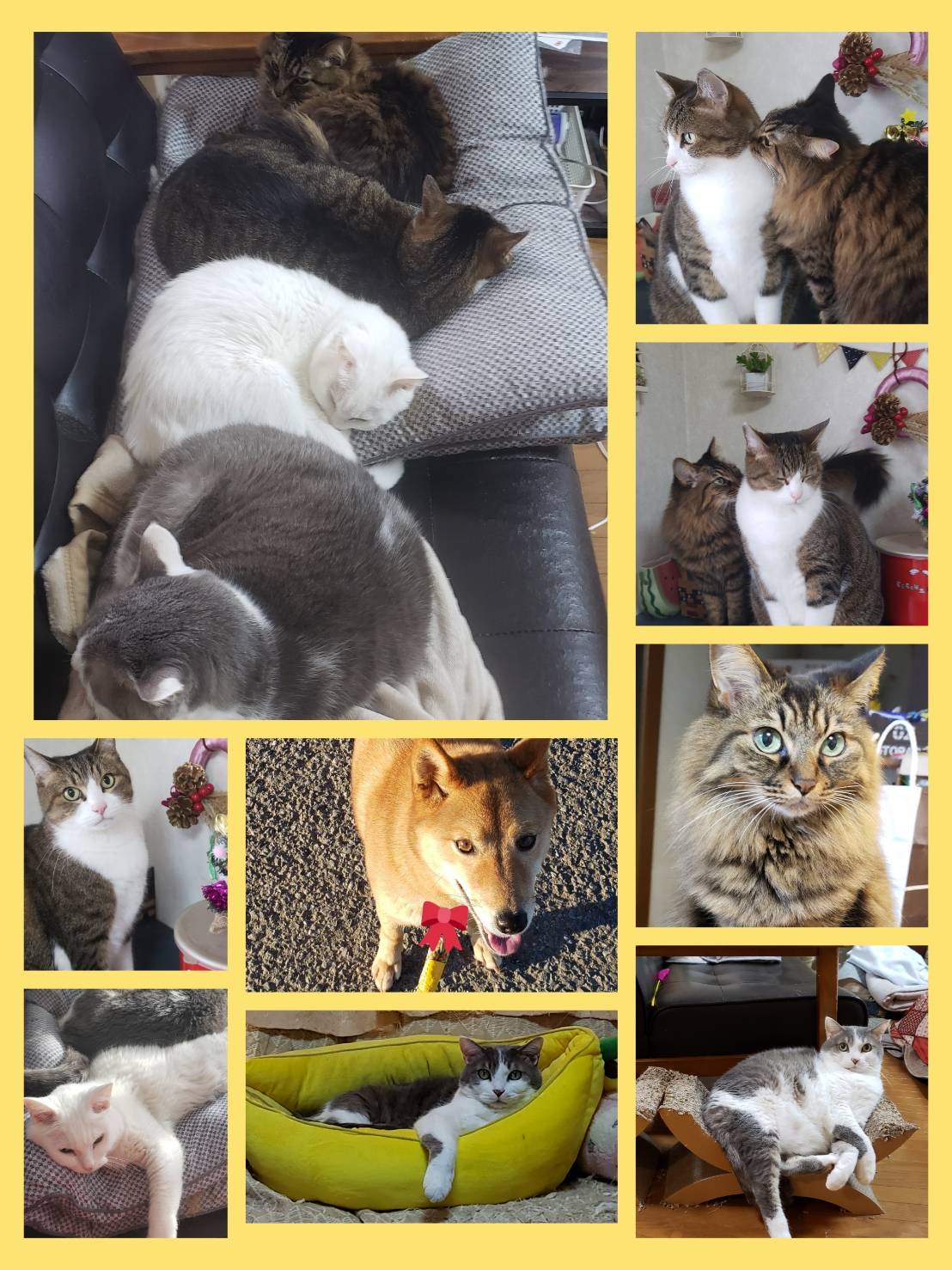 sakamotohirosiimage0