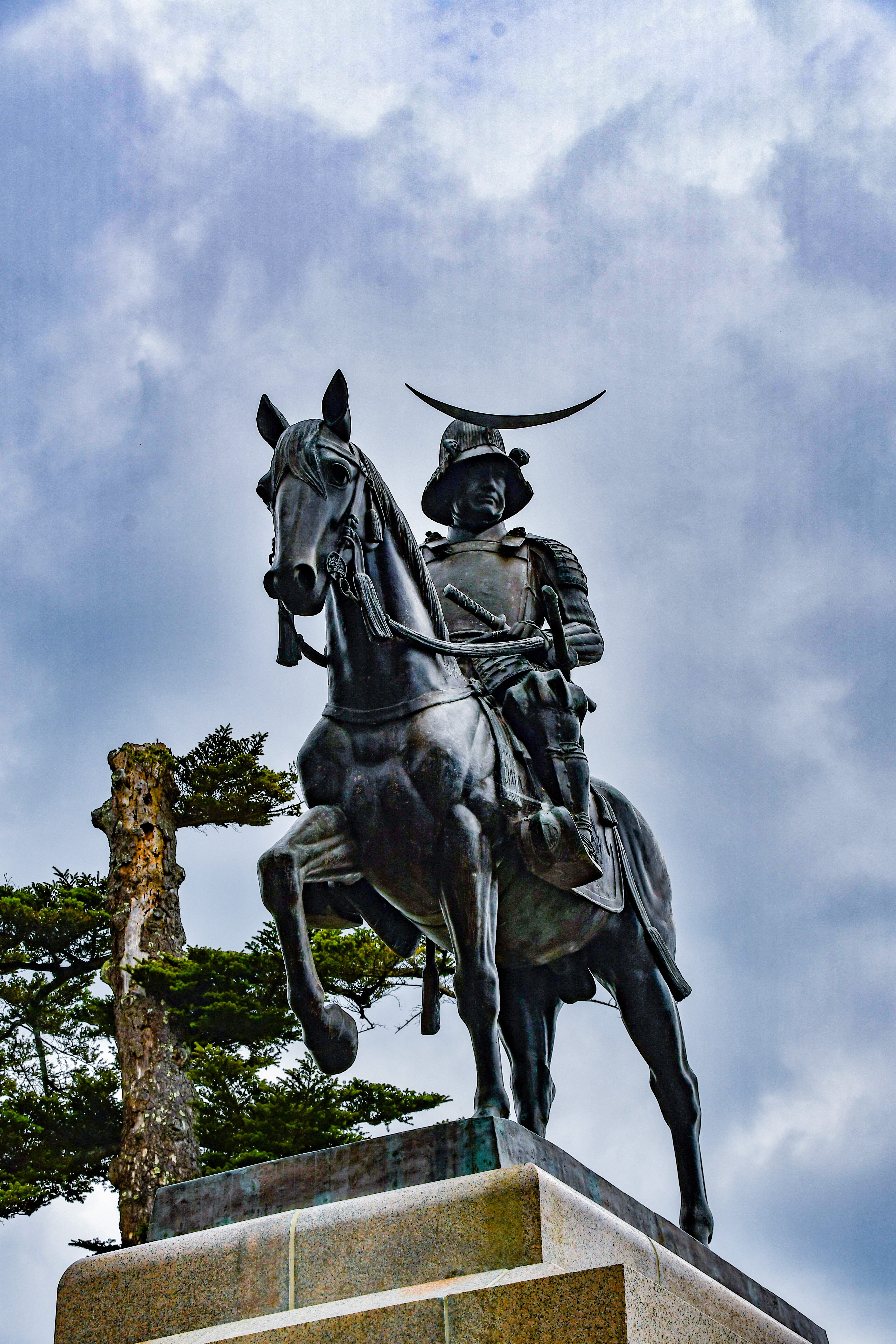 DSC_0550_masamune[1]