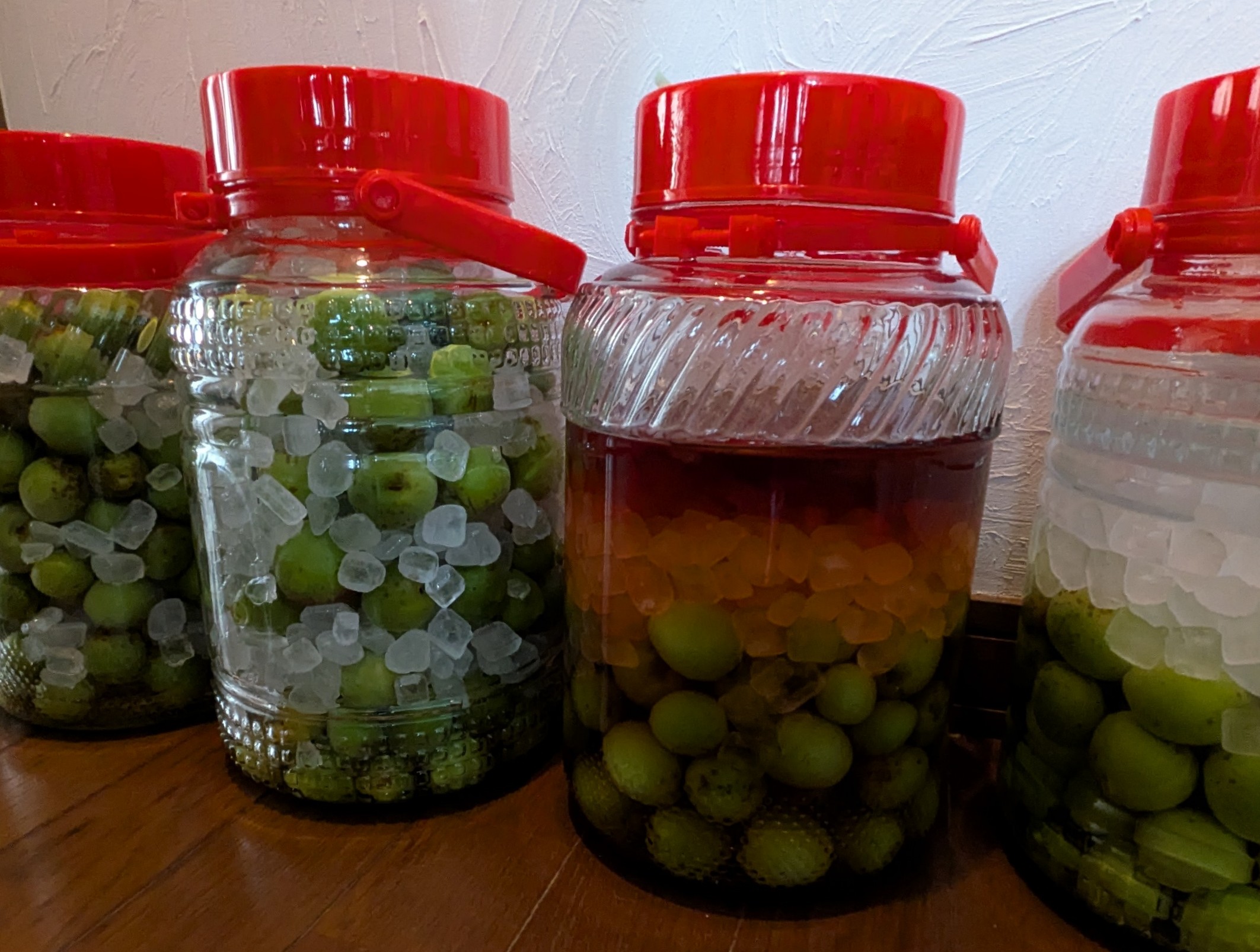 PXL_20250607_071800406.MP~2[1]