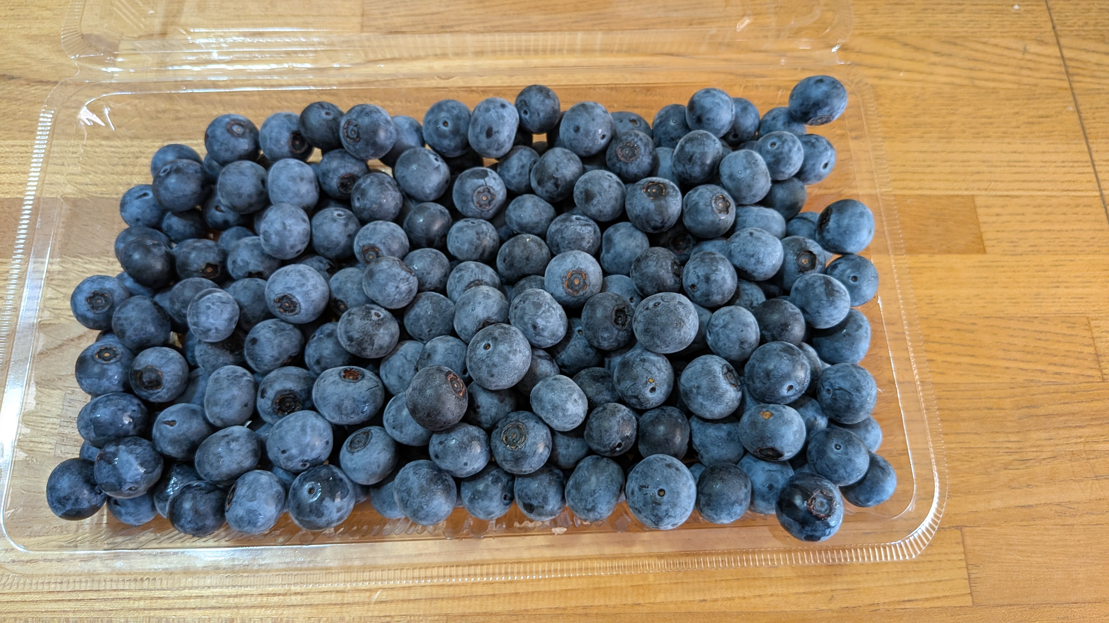 PXL_20250804_053507467.MP[1]