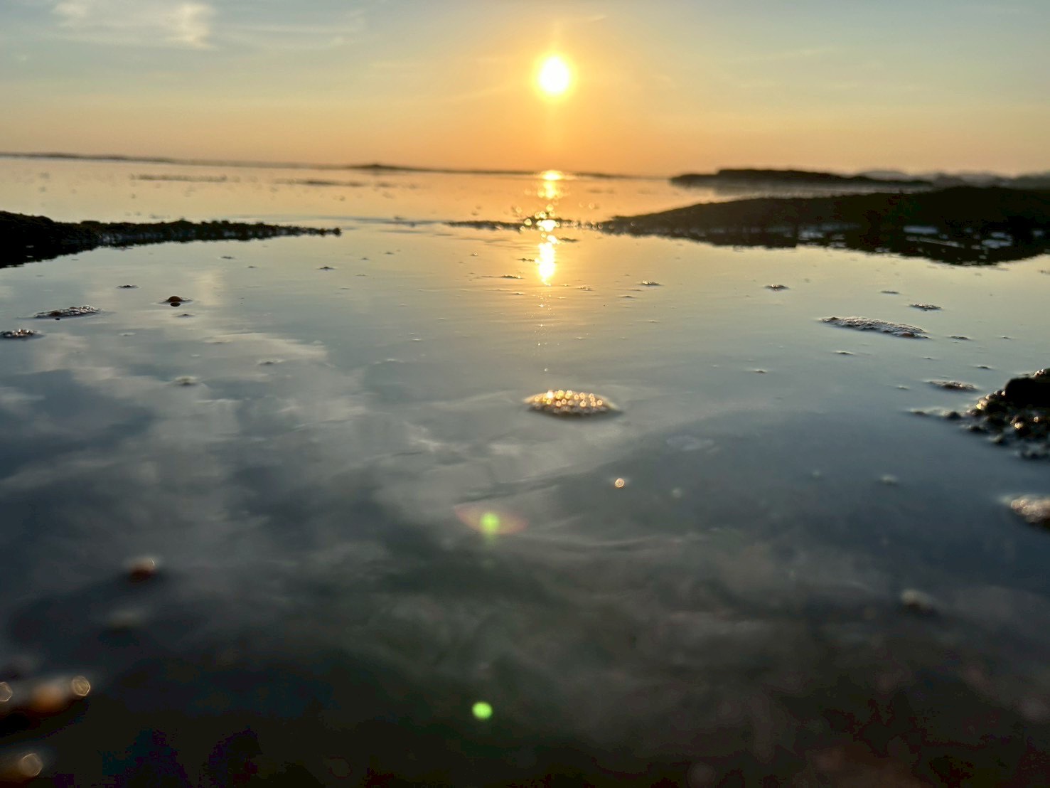 D6647098-3754-4428-9F3D-9483BBCD1D5F