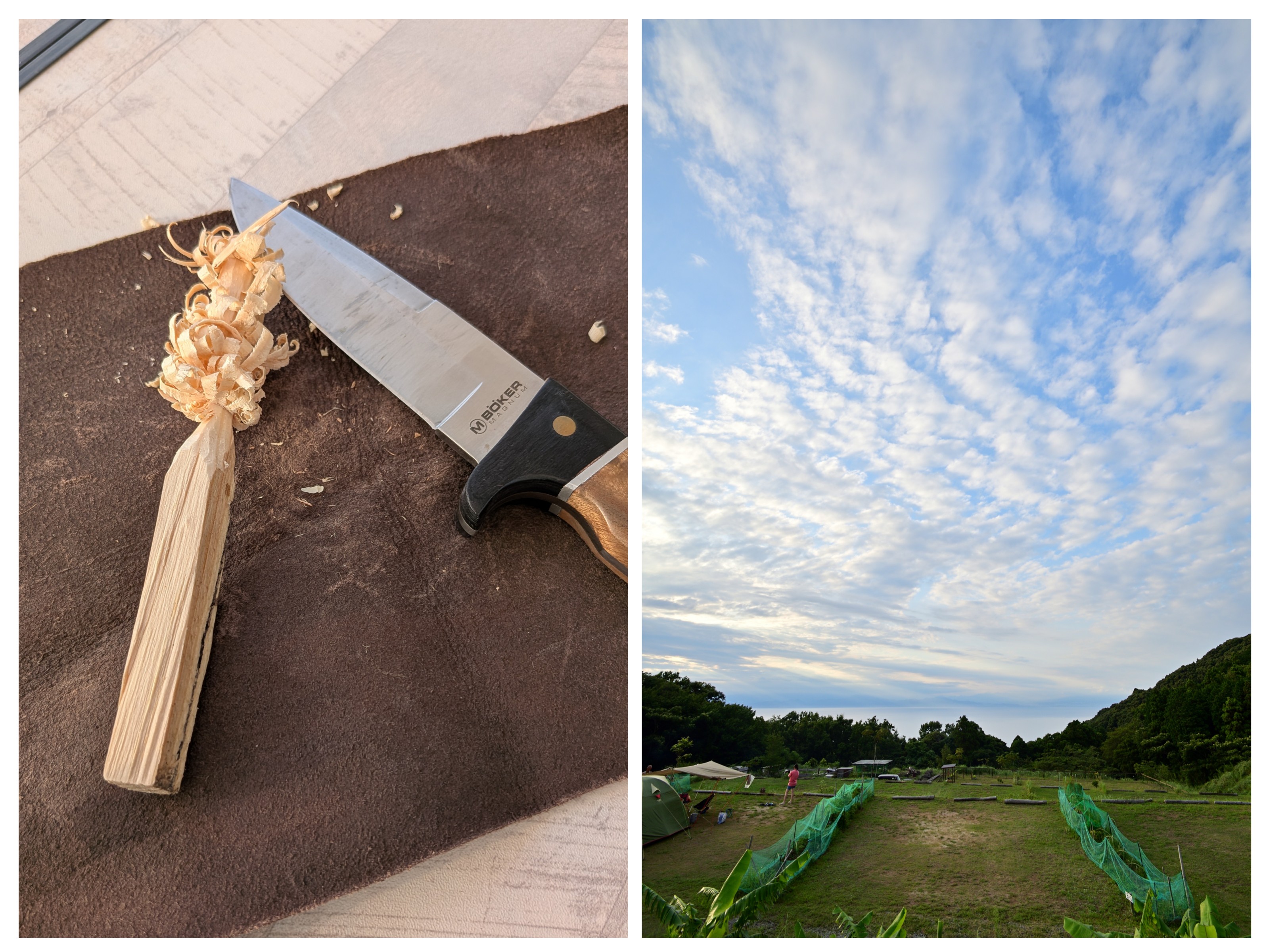 20250818_072938-COLLAGE[1]