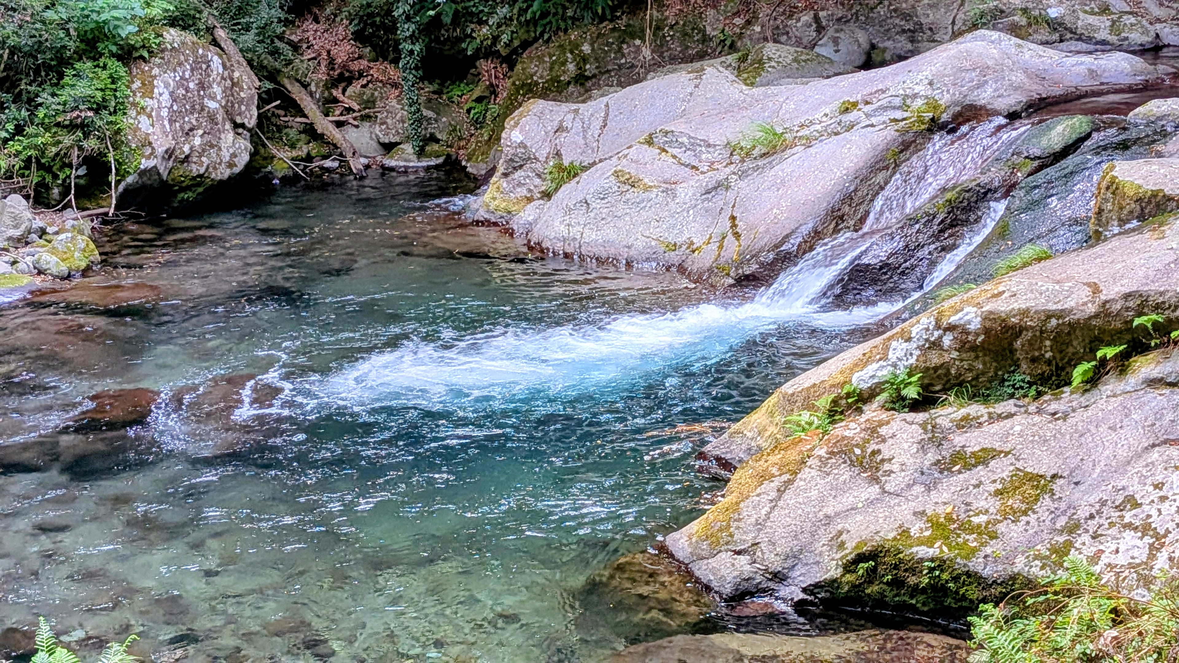 PXL_20250809_072054853.MP~2[1]