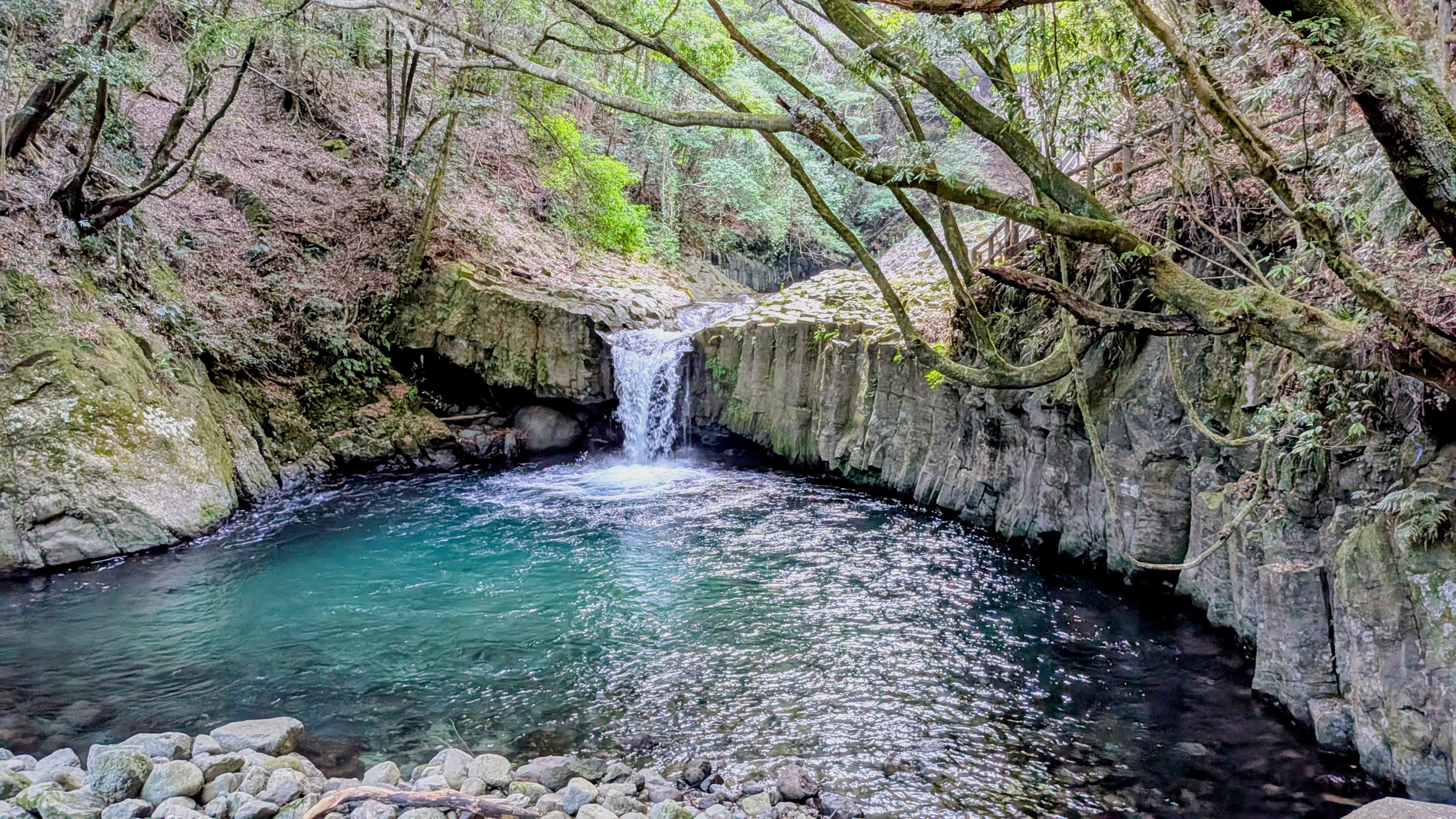 PXL_20250809_072302769.MP~2[1]