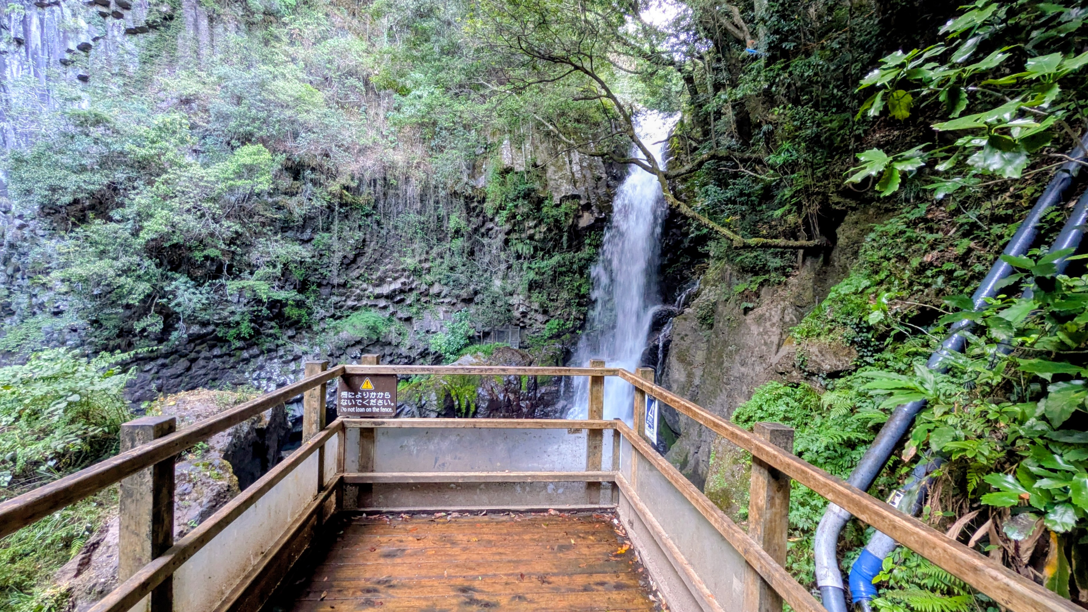 PXL_20250809_073024472.MP~2[1]