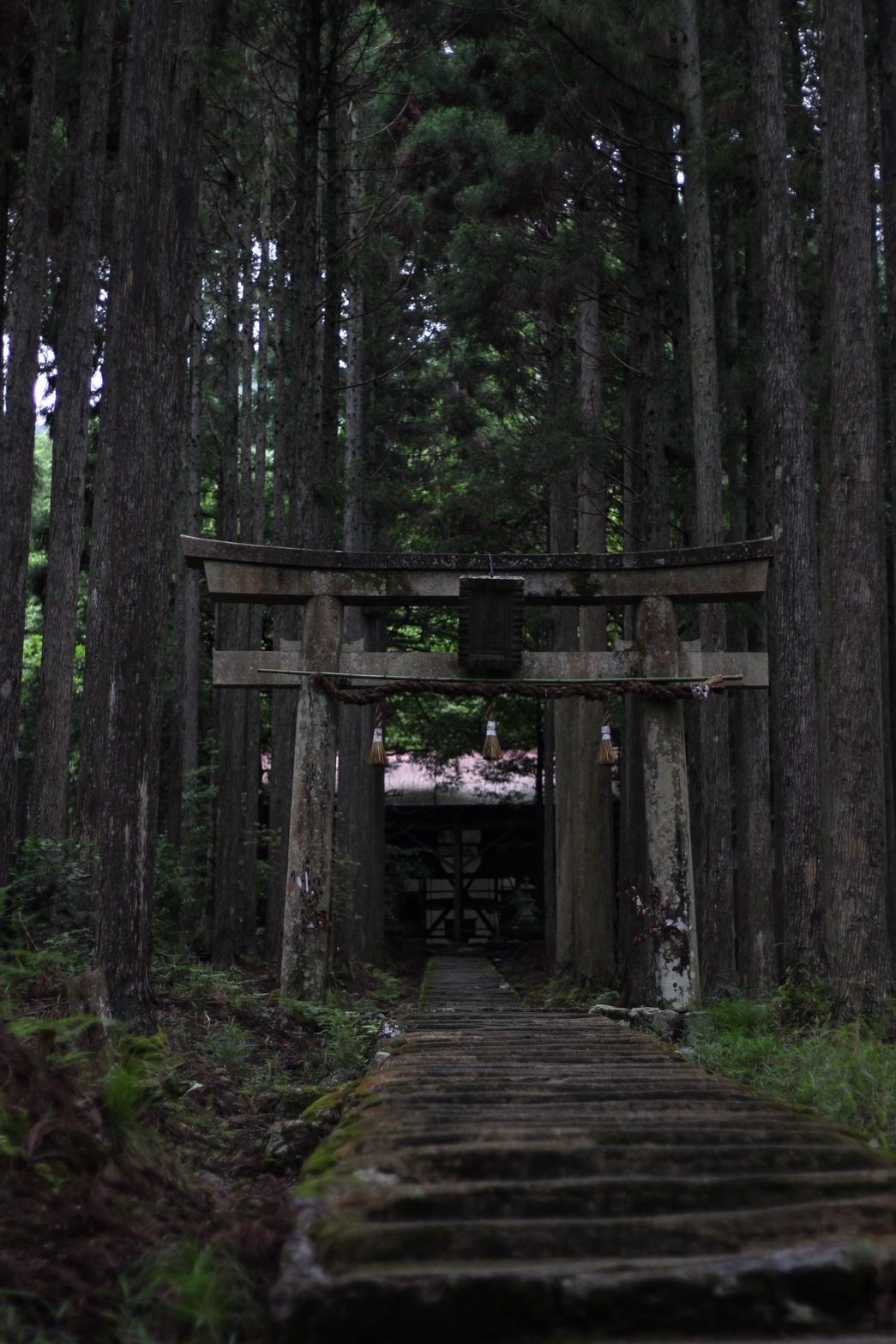 nisiokakunnkamojinja