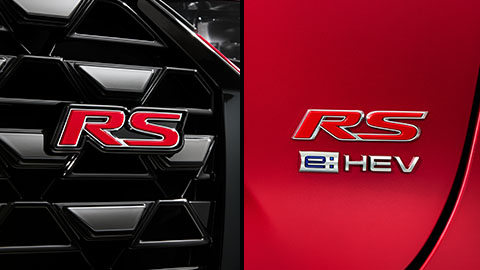 4563236523623665565656jpg