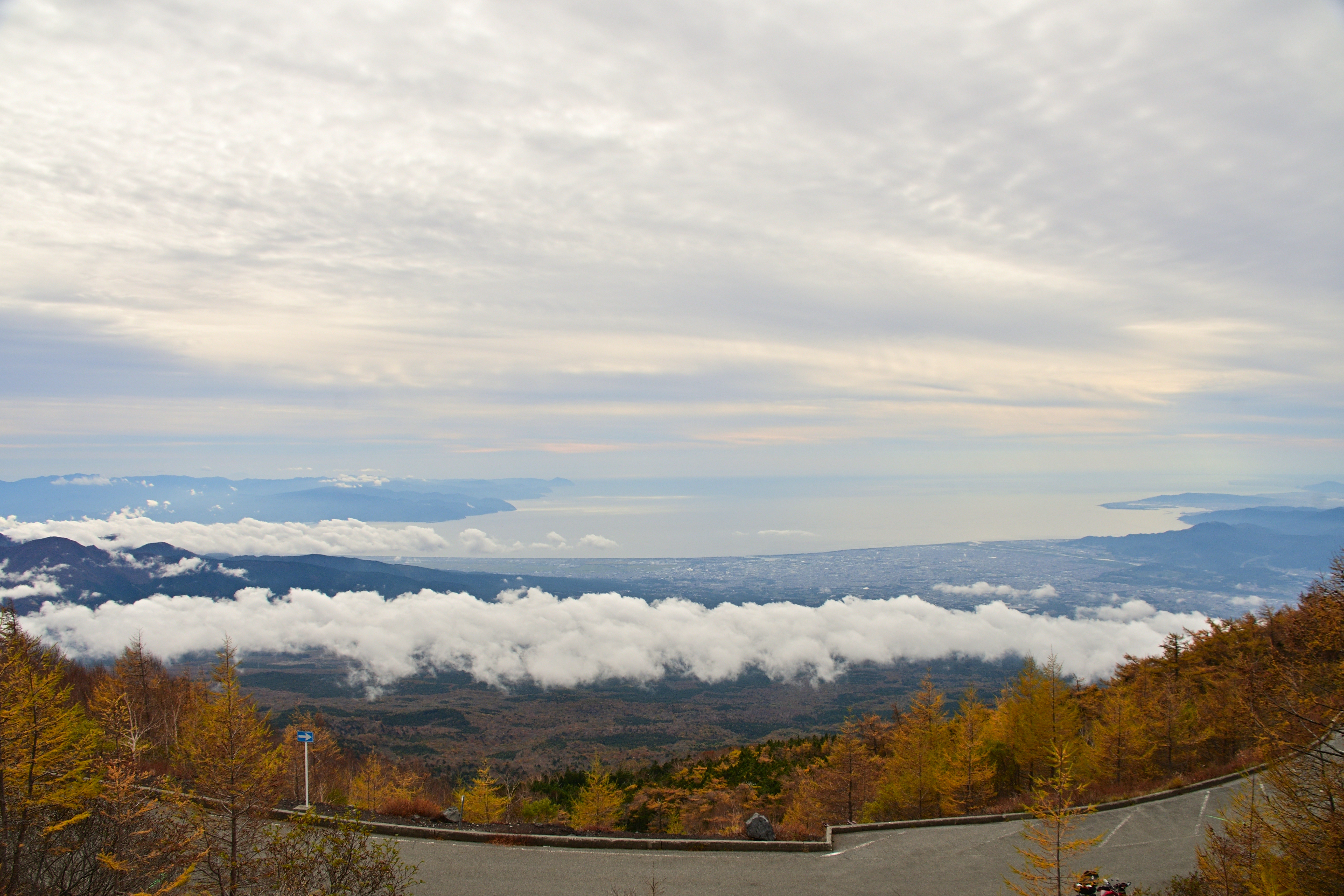 DSC_5937_316DSC_5937[1]