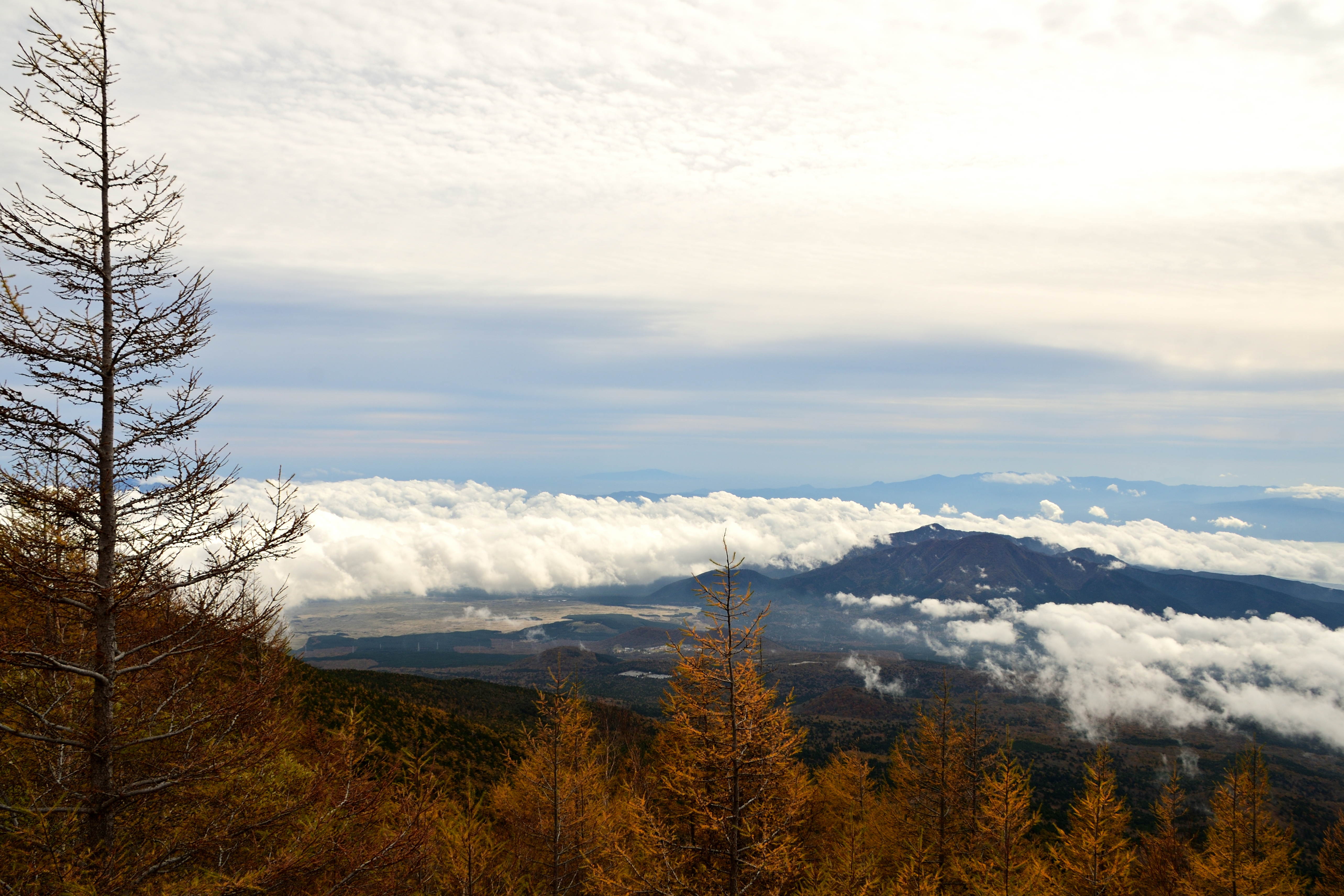 DSC_5984_326DSC_5984[1]