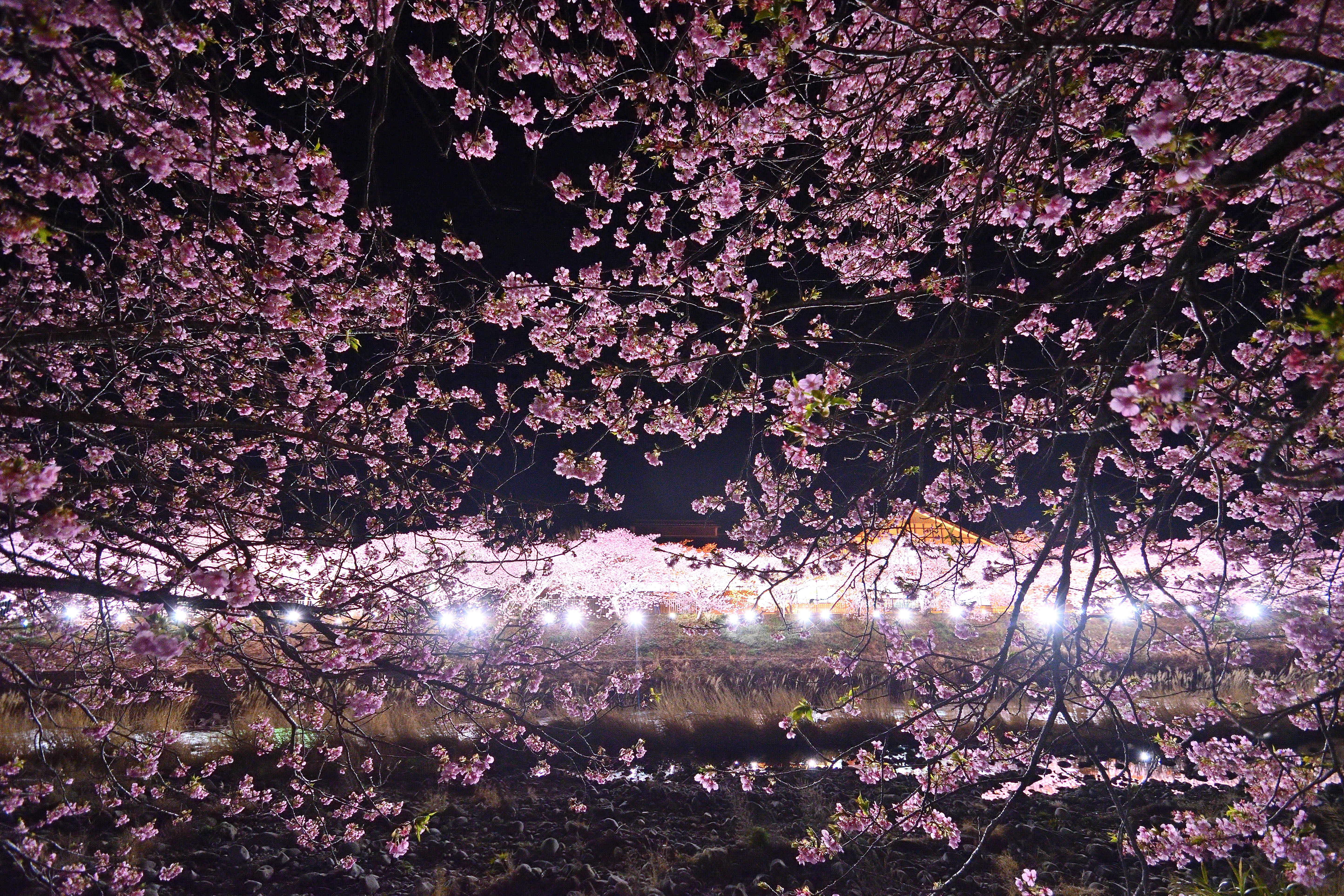 DSC_0057_462DSC_0057[1]