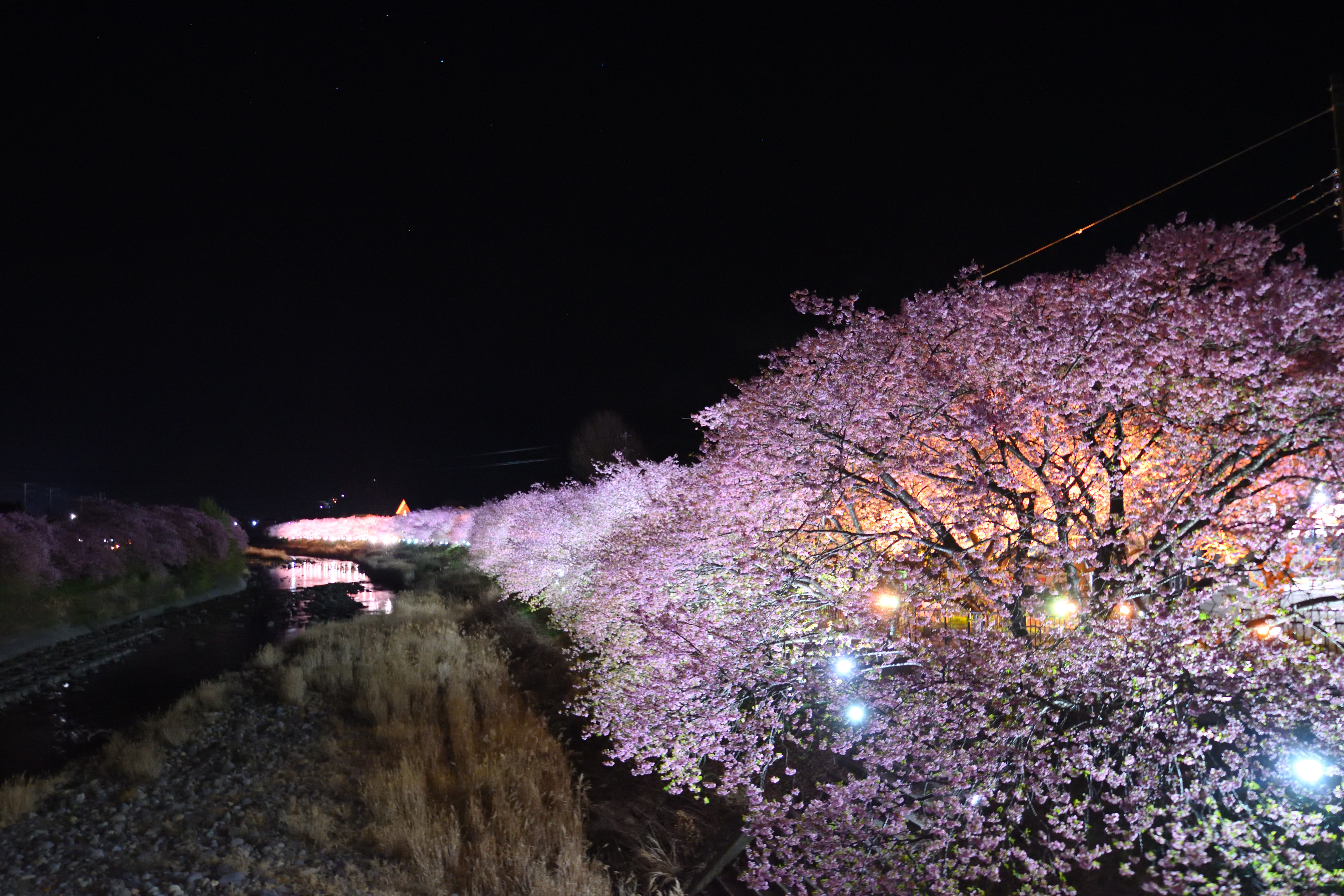 DSC_0039_460DSC_0039[1]