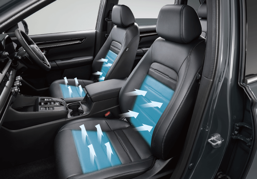 C-RV013465789786469798746