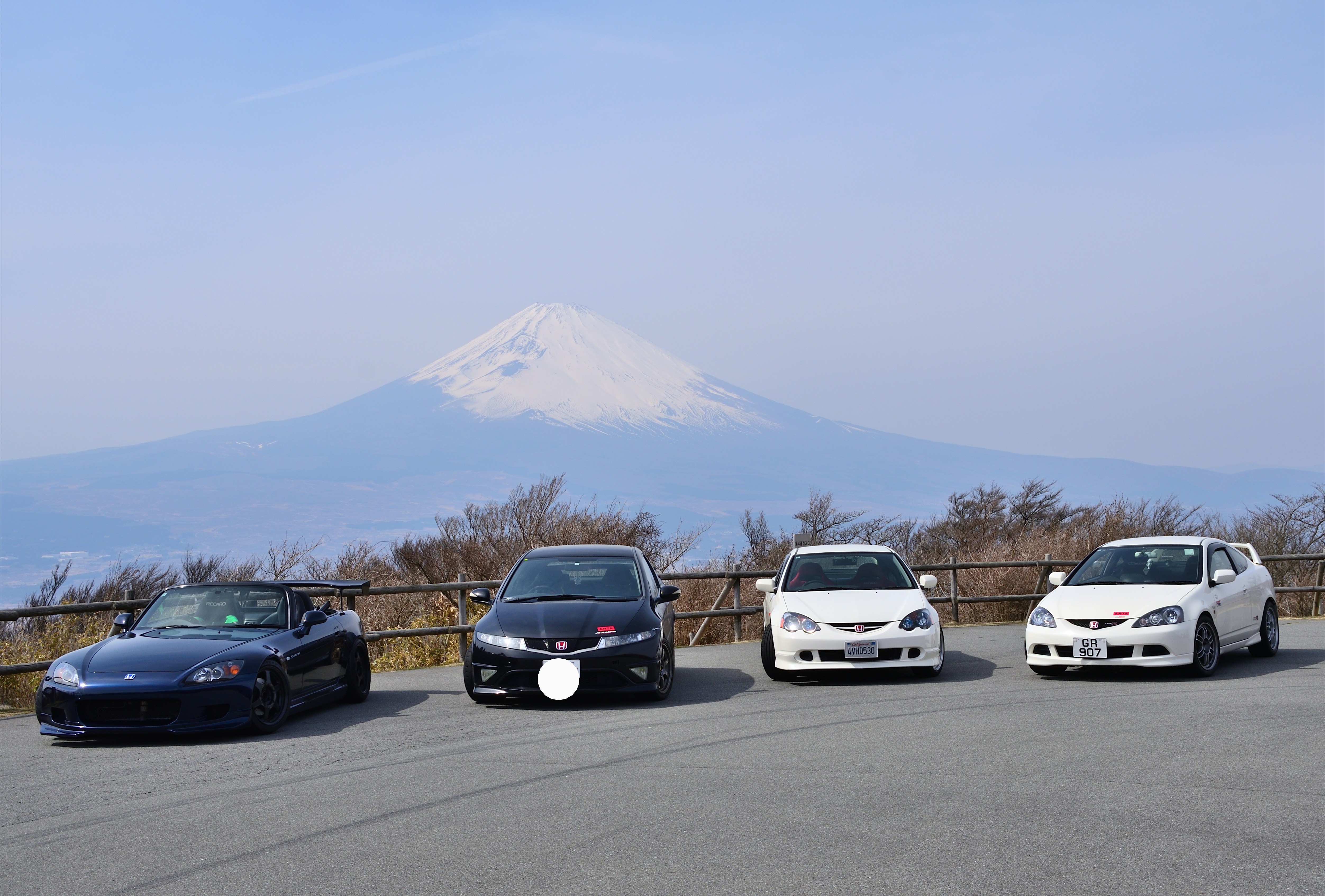 DSC_7204_490DSC_7204[1]