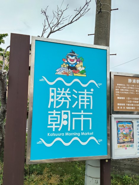IMG20260506100552