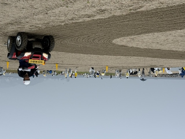 beach20264