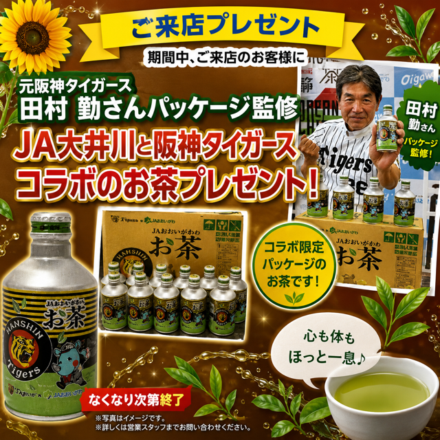 D95DB386-2A8F-40D4-AF45-50C025845168