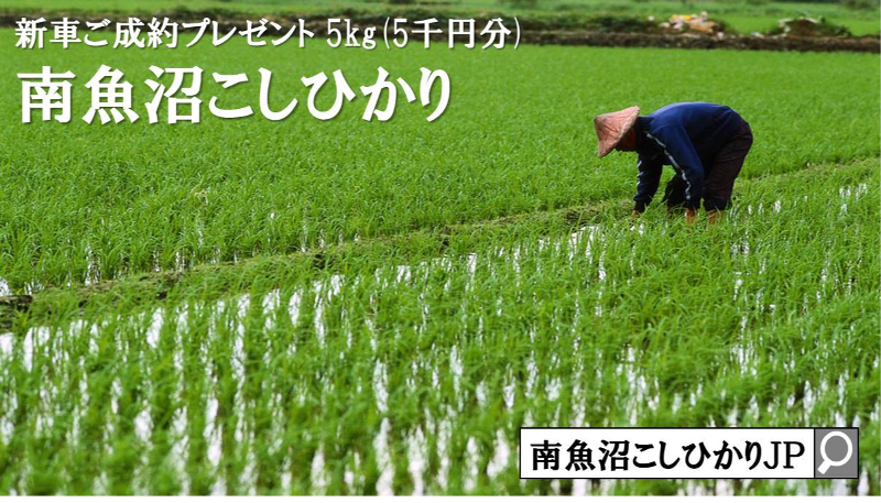 _sejoygbgtqbiqyfmyqdbnhbsmhpmyrdm