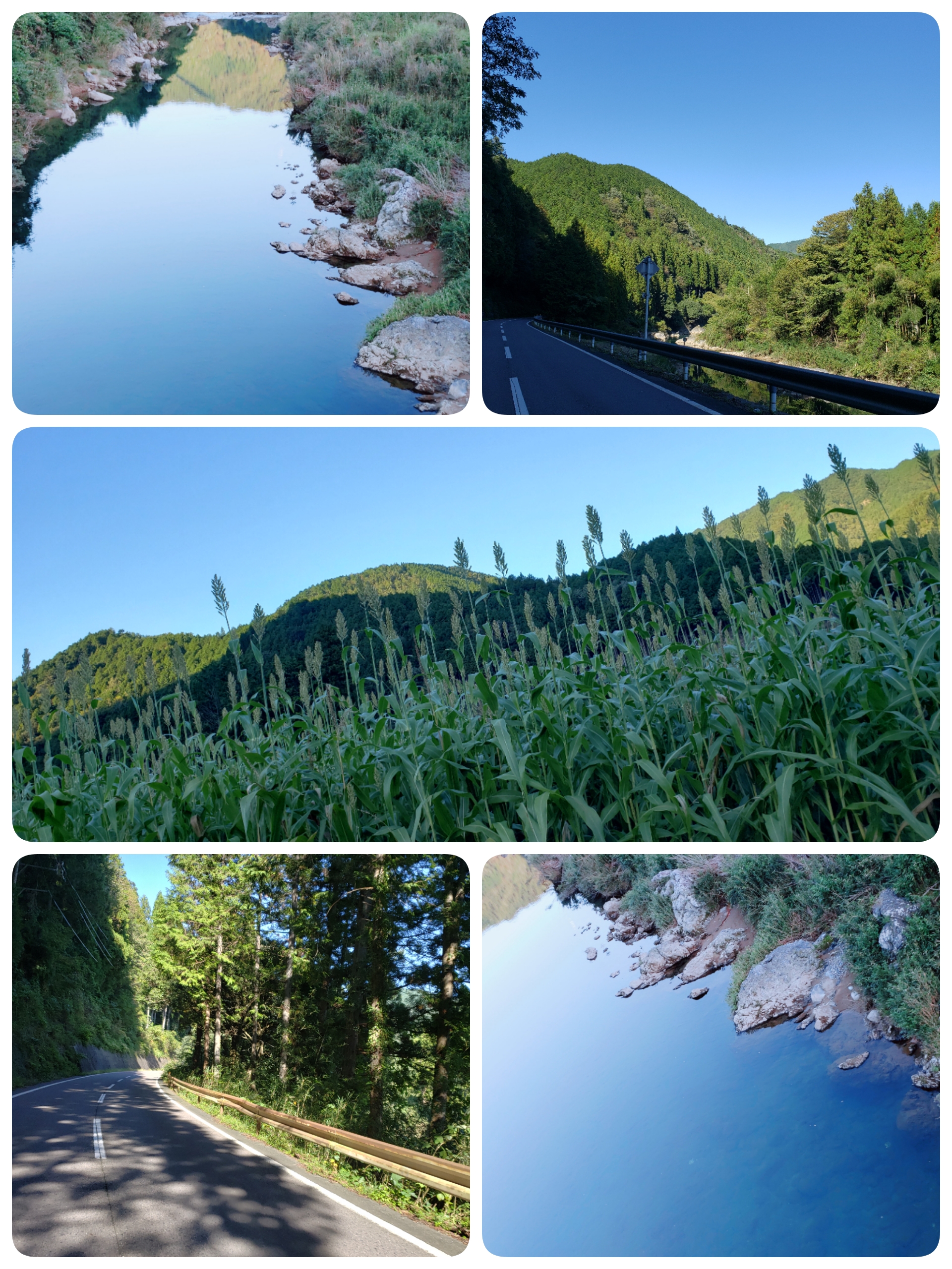 19-10-11-15-33-05-987_deco