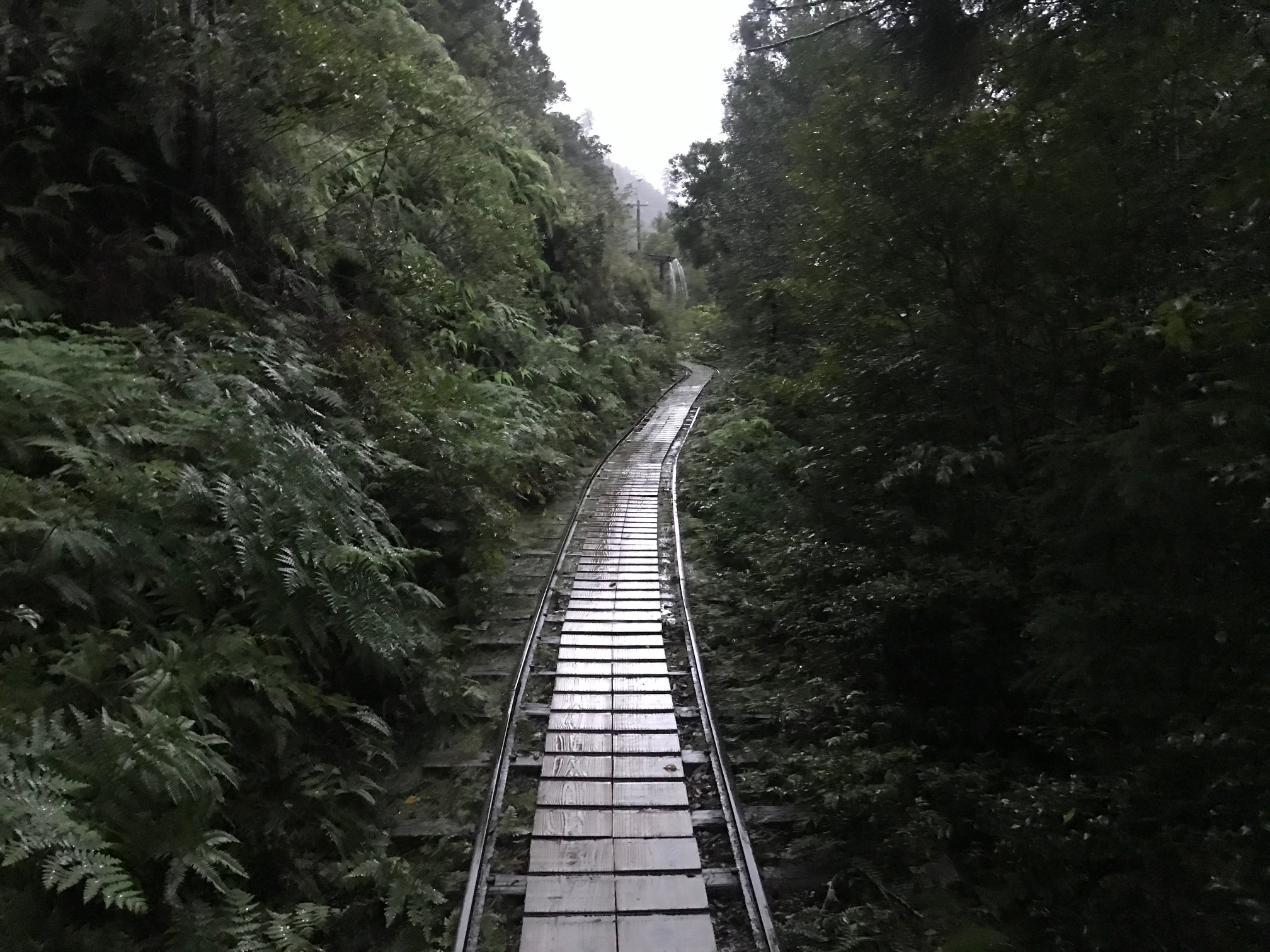 26907308.5b150a3999e06a02482351d440f10994.19101706