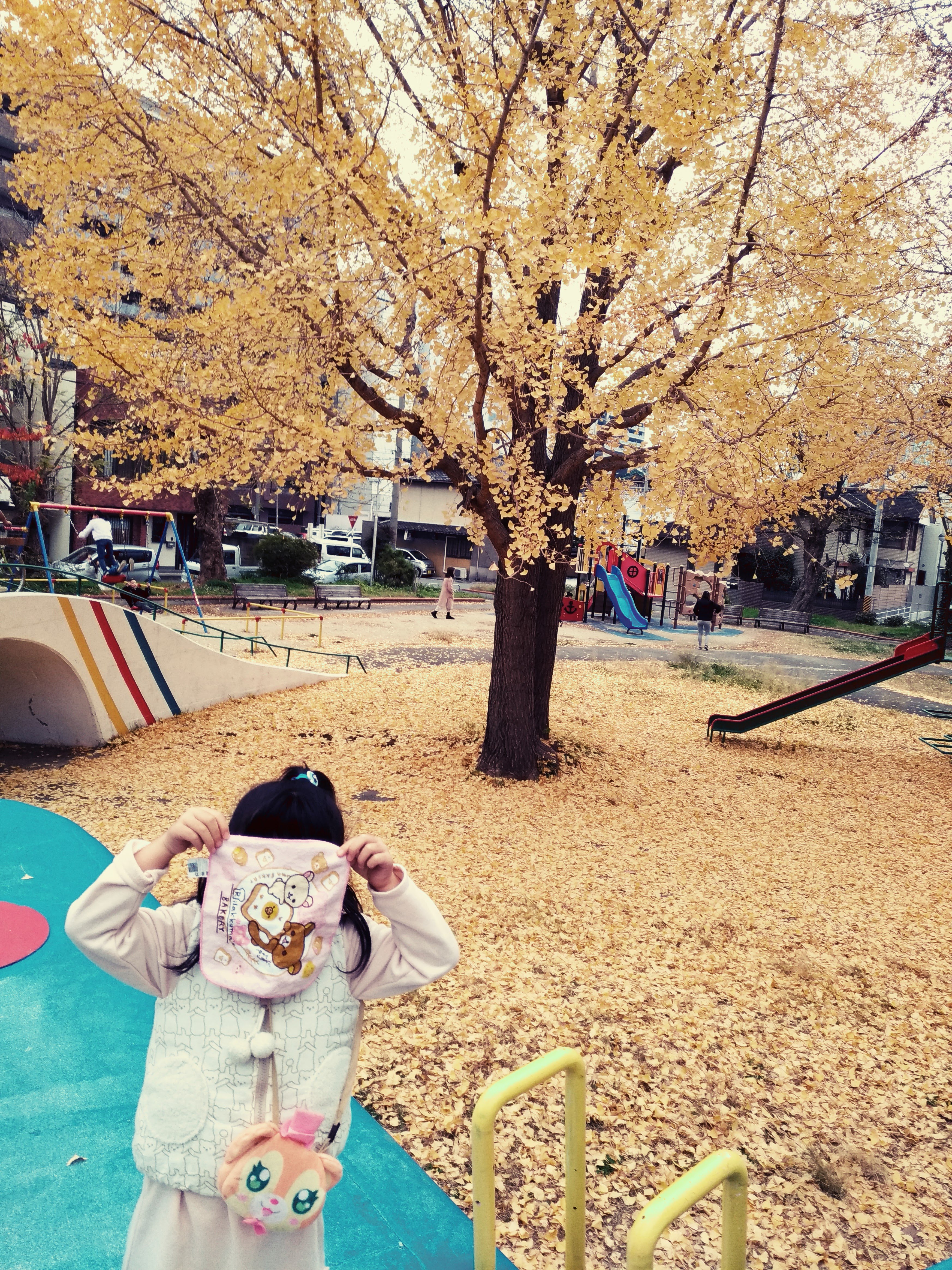 P_20191211_150649_vHDR_On_1