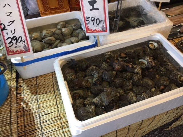 IMG_1126.JPG IMG_1131