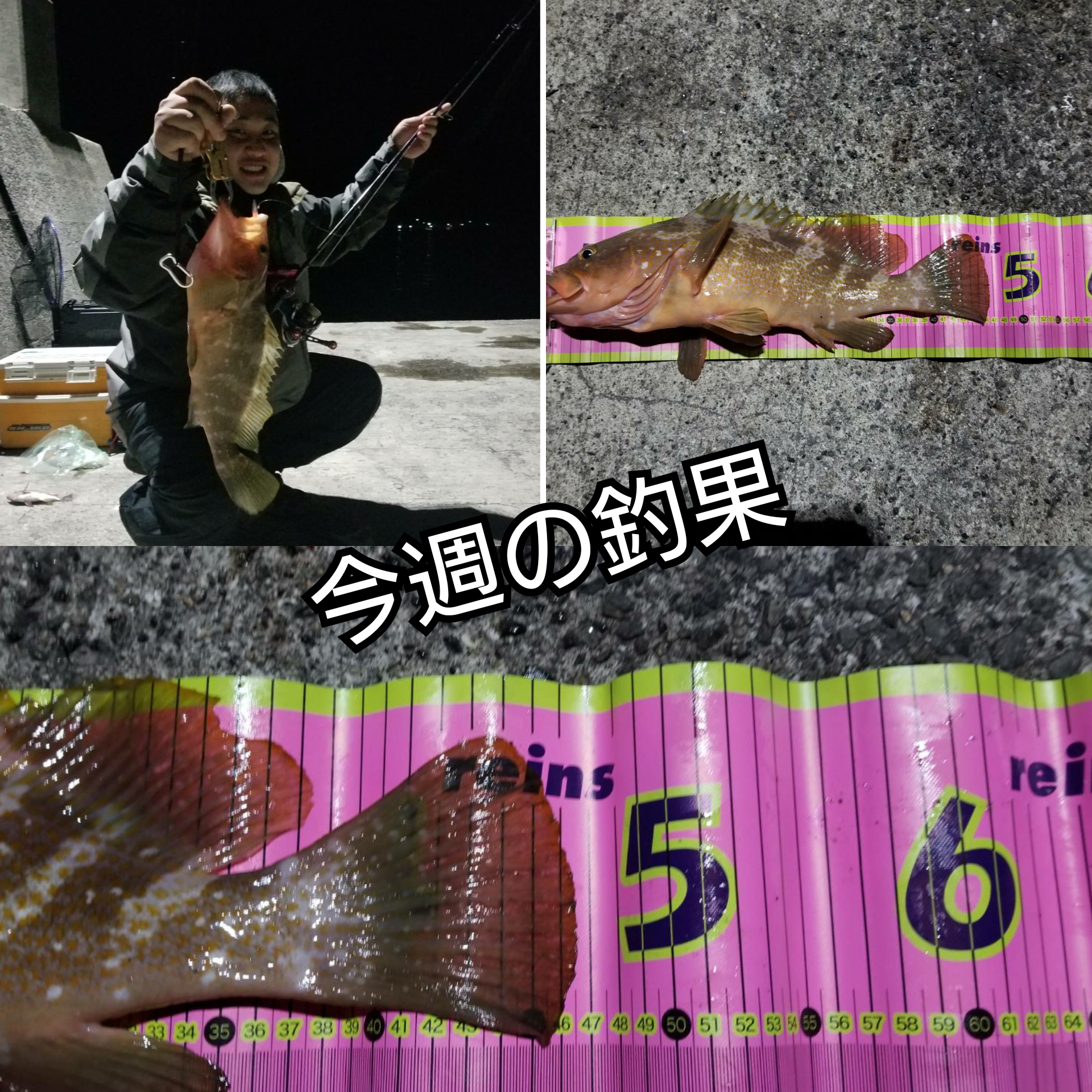 Polish_20200206_084743878_20200206084912