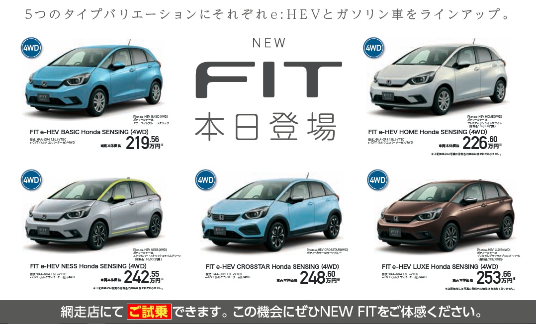 Newfit2